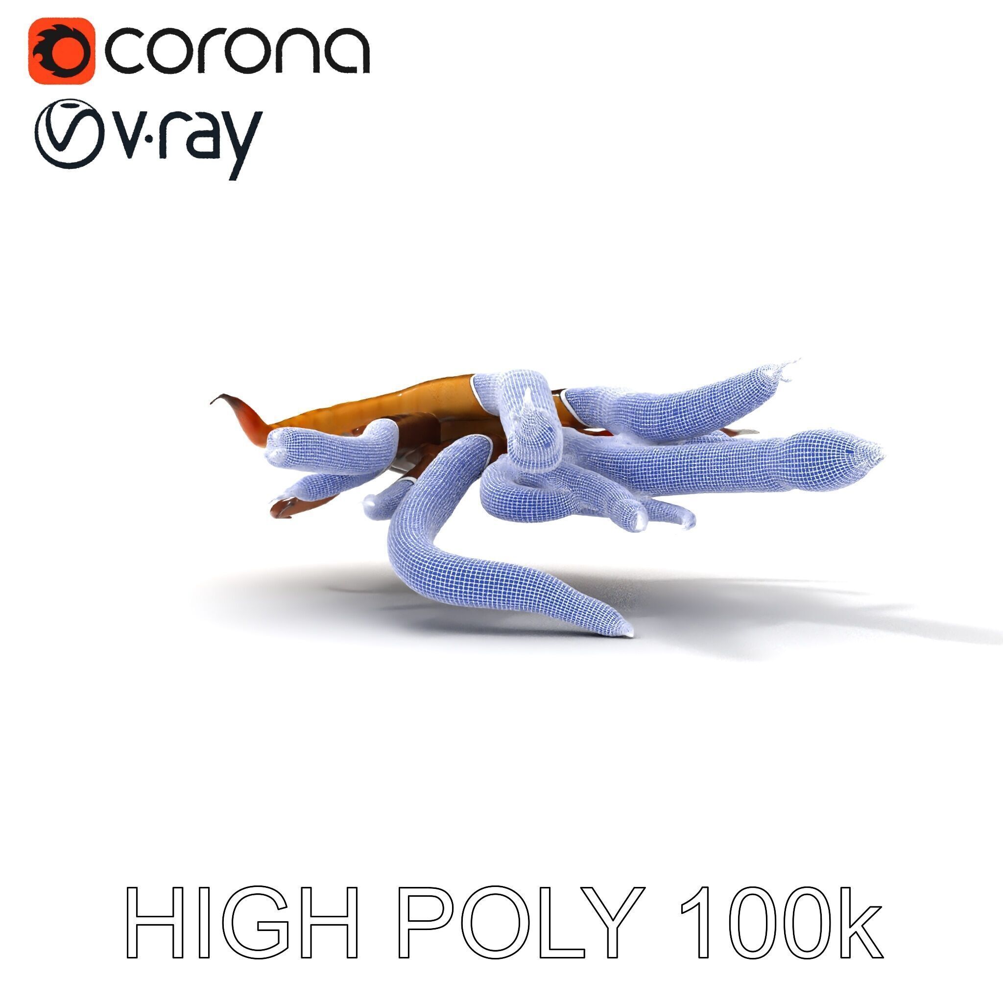 Colorful Centipede Model Pack Low-poly 3D model_11