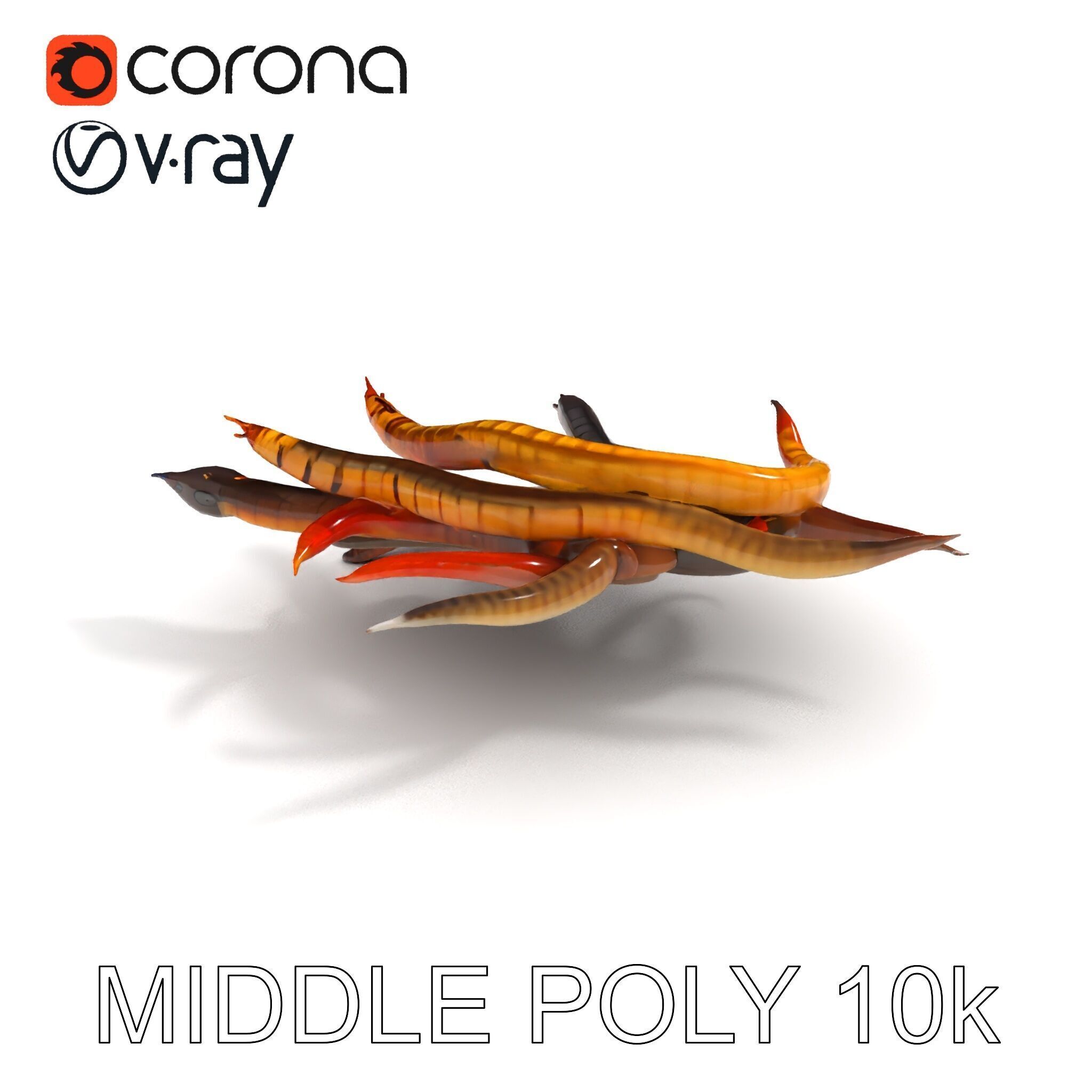 Colorful Centipede Model Pack Low-poly 3D model_22