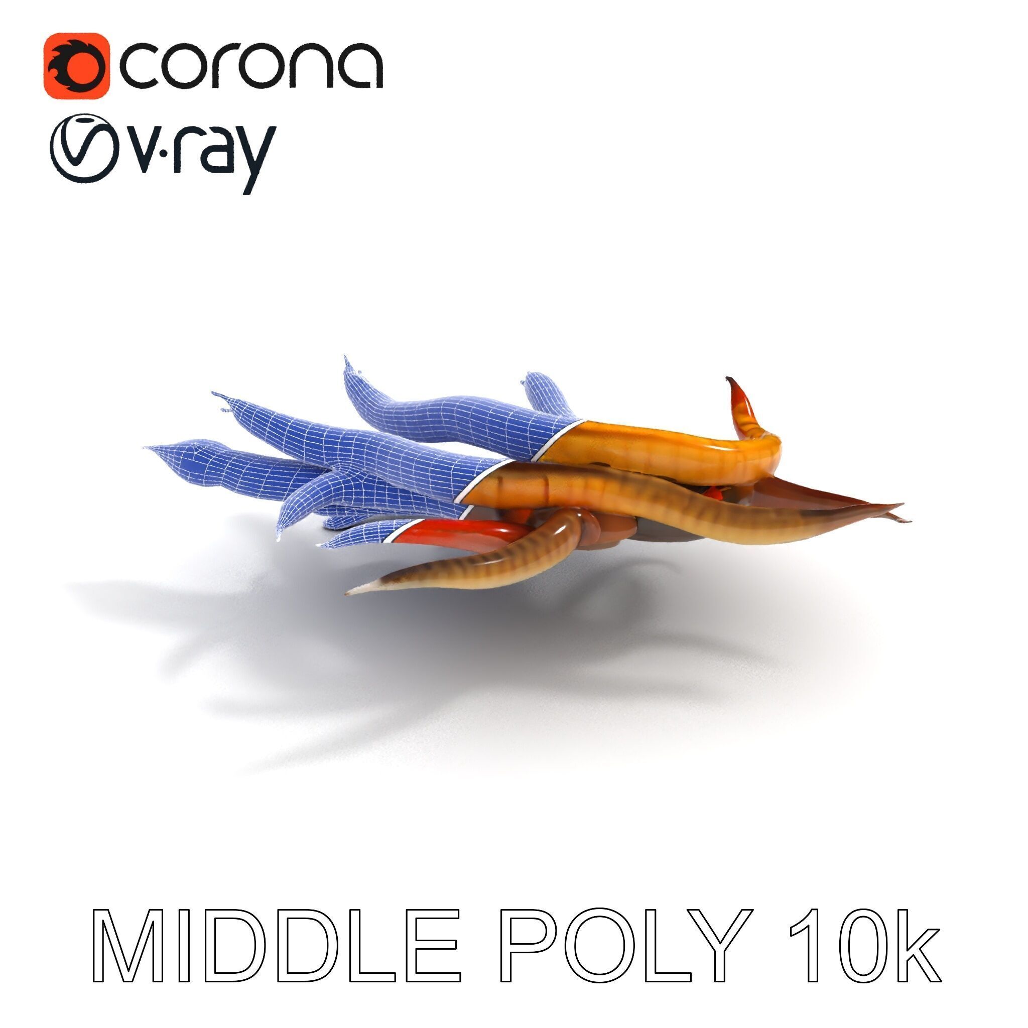 Colorful Centipede Model Pack Low-poly 3D model_27