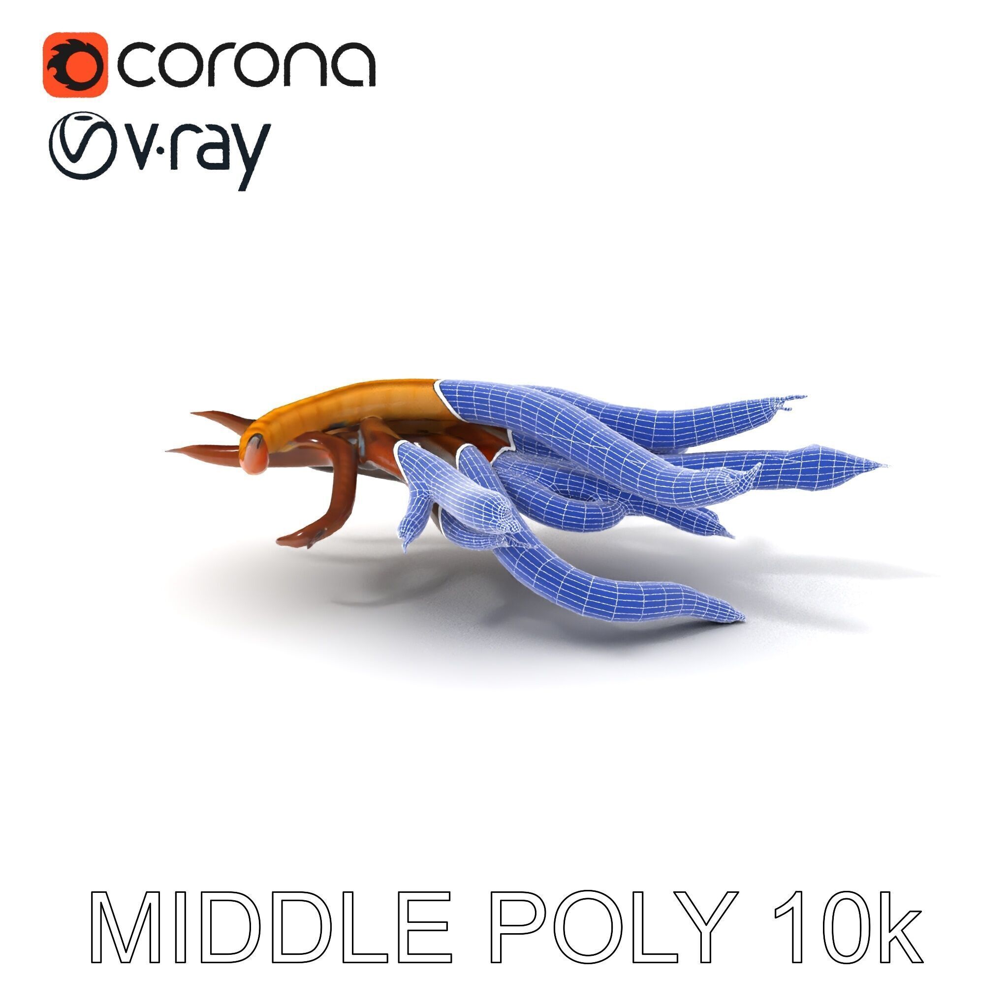 Colorful Centipede Model Pack Low-poly 3D model_24