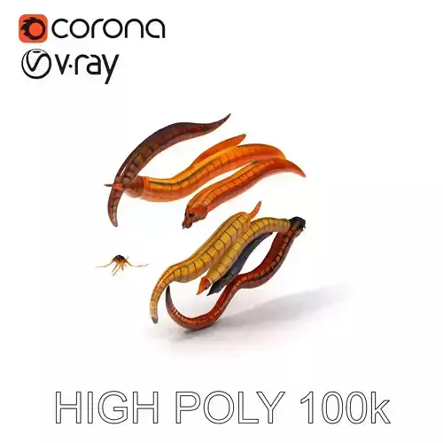 Realistic Worm Model Pack for Animation and Games