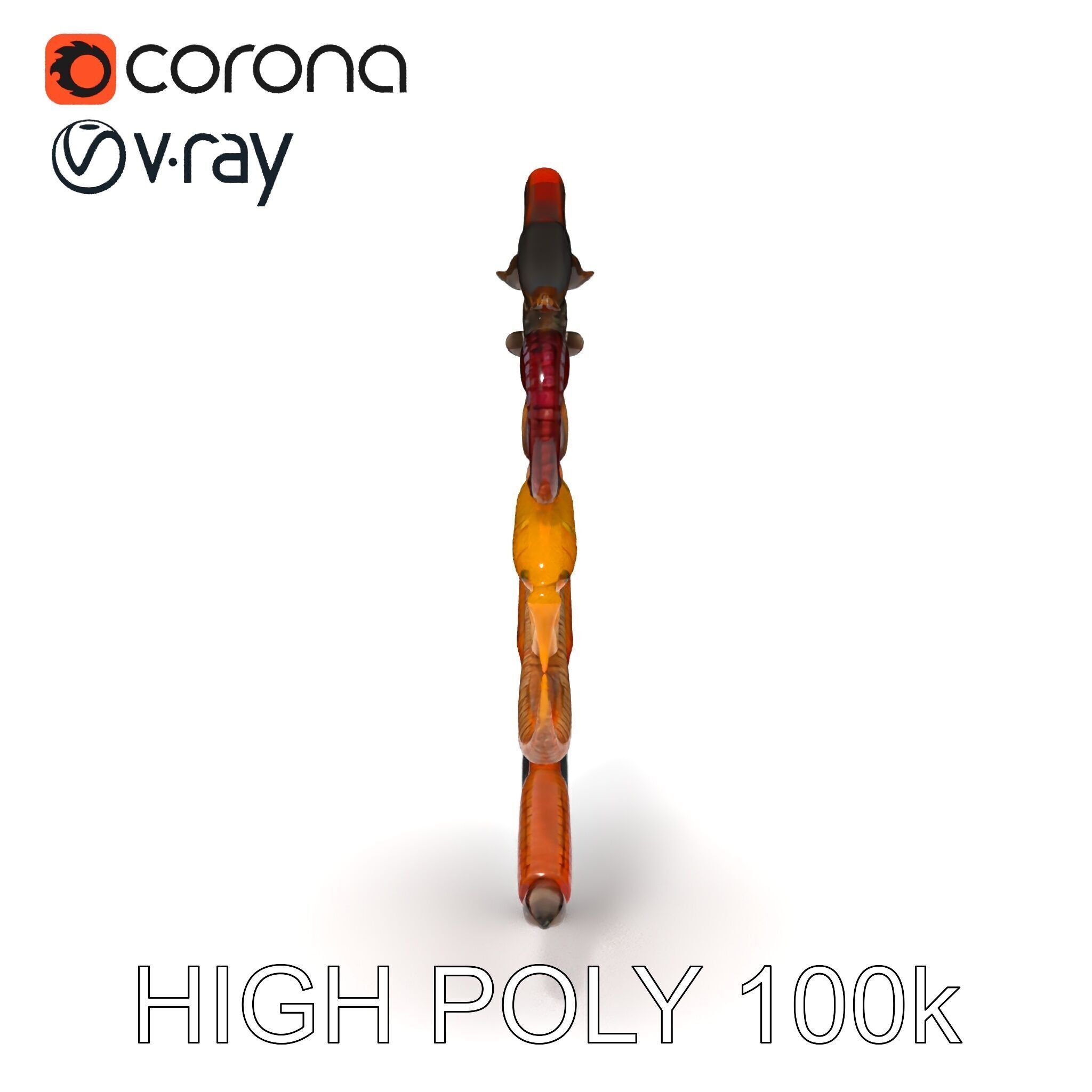 Realistic Earthworm Model Pack with HighDetail PBR Textures Low-poly 3D model_19