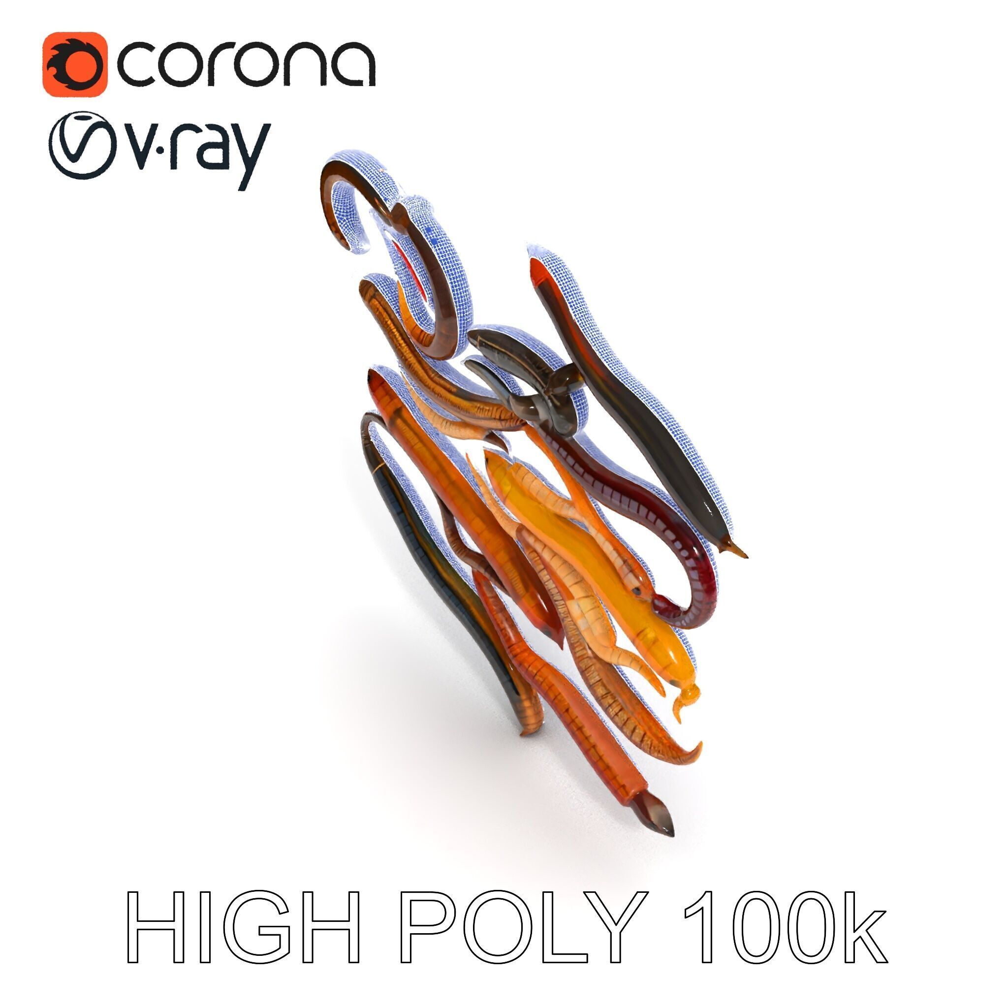 Realistic Earthworm Model Pack with HighDetail PBR Textures Low-poly 3D model_34