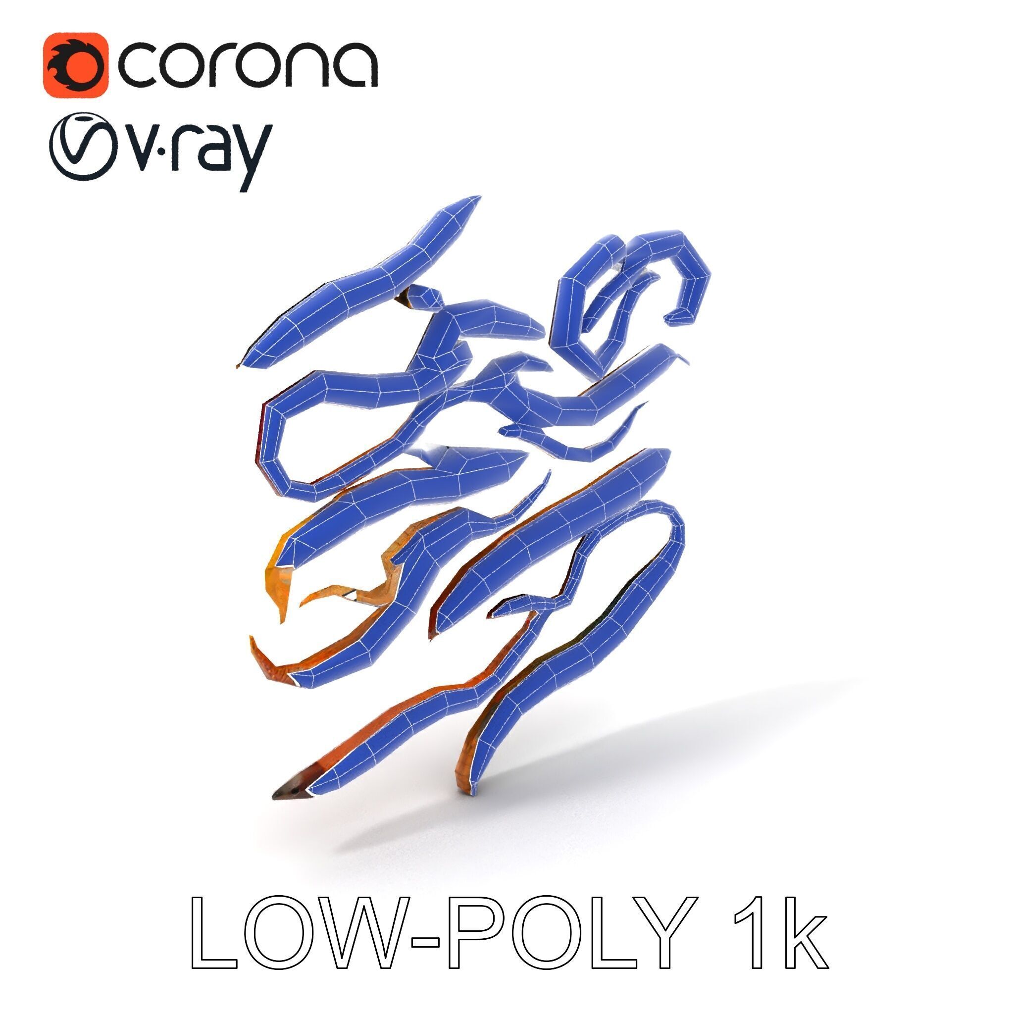 Realistic Earthworm Model Pack with HighDetail PBR Textures Low-poly 3D model_25