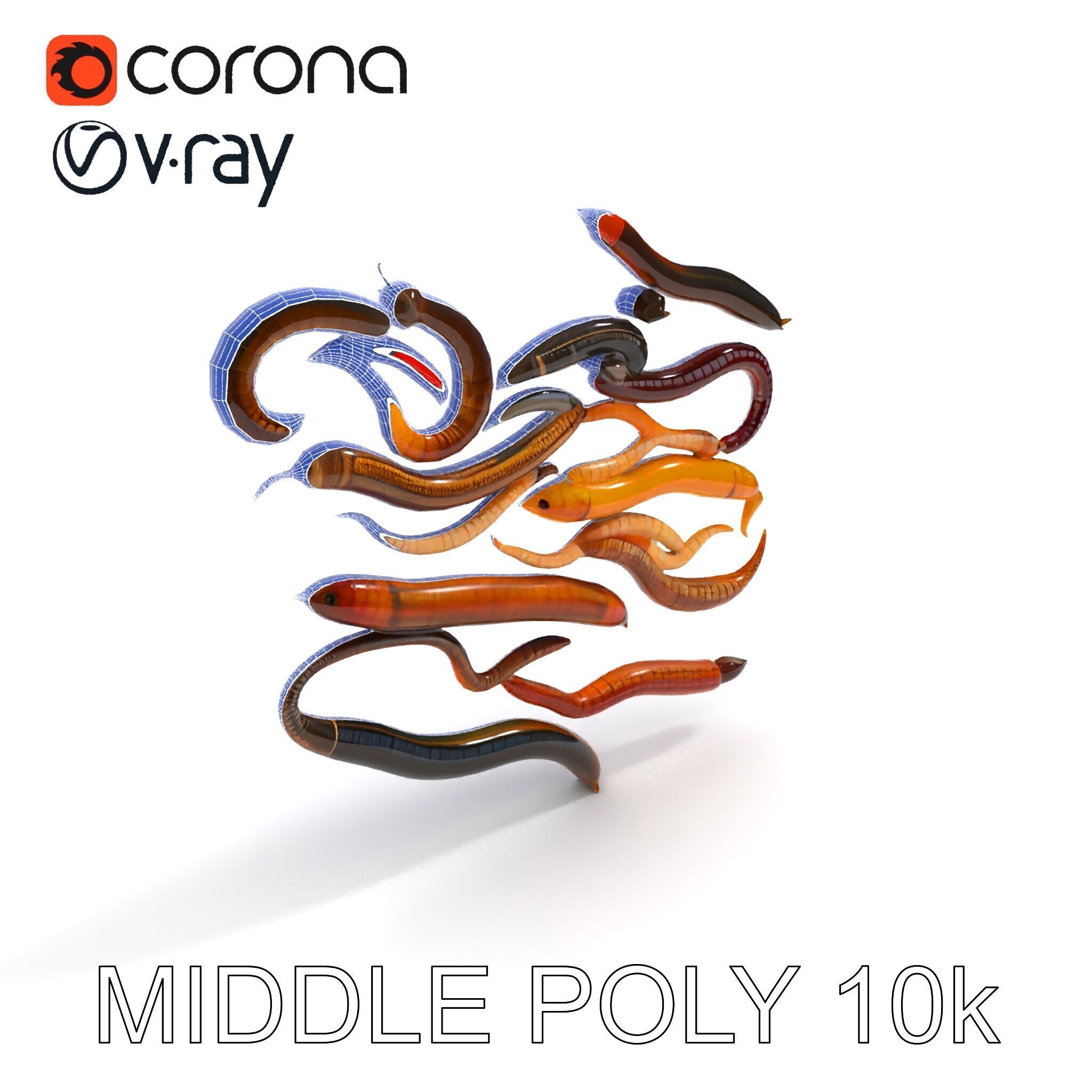 Realistic Earthworm Model Pack with HighDetail PBR Textures Low-poly 3D model_6