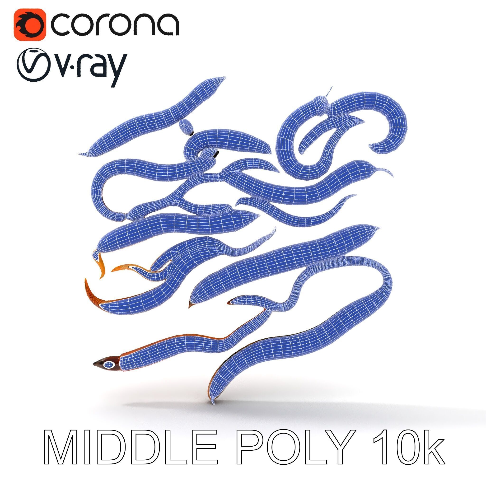 Realistic Earthworm Model Pack with HighDetail PBR Textures Low-poly 3D model_14