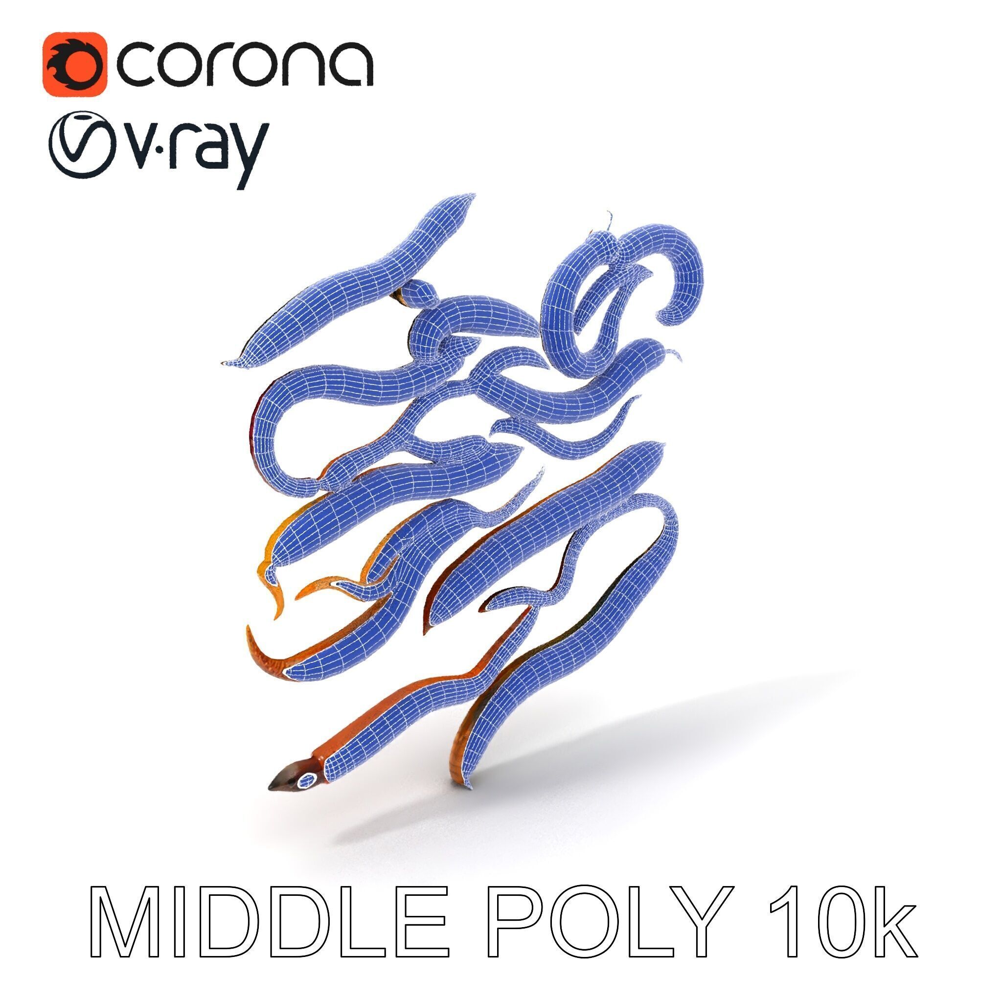 Realistic Earthworm Model Pack with HighDetail PBR Textures Low-poly 3D model_8