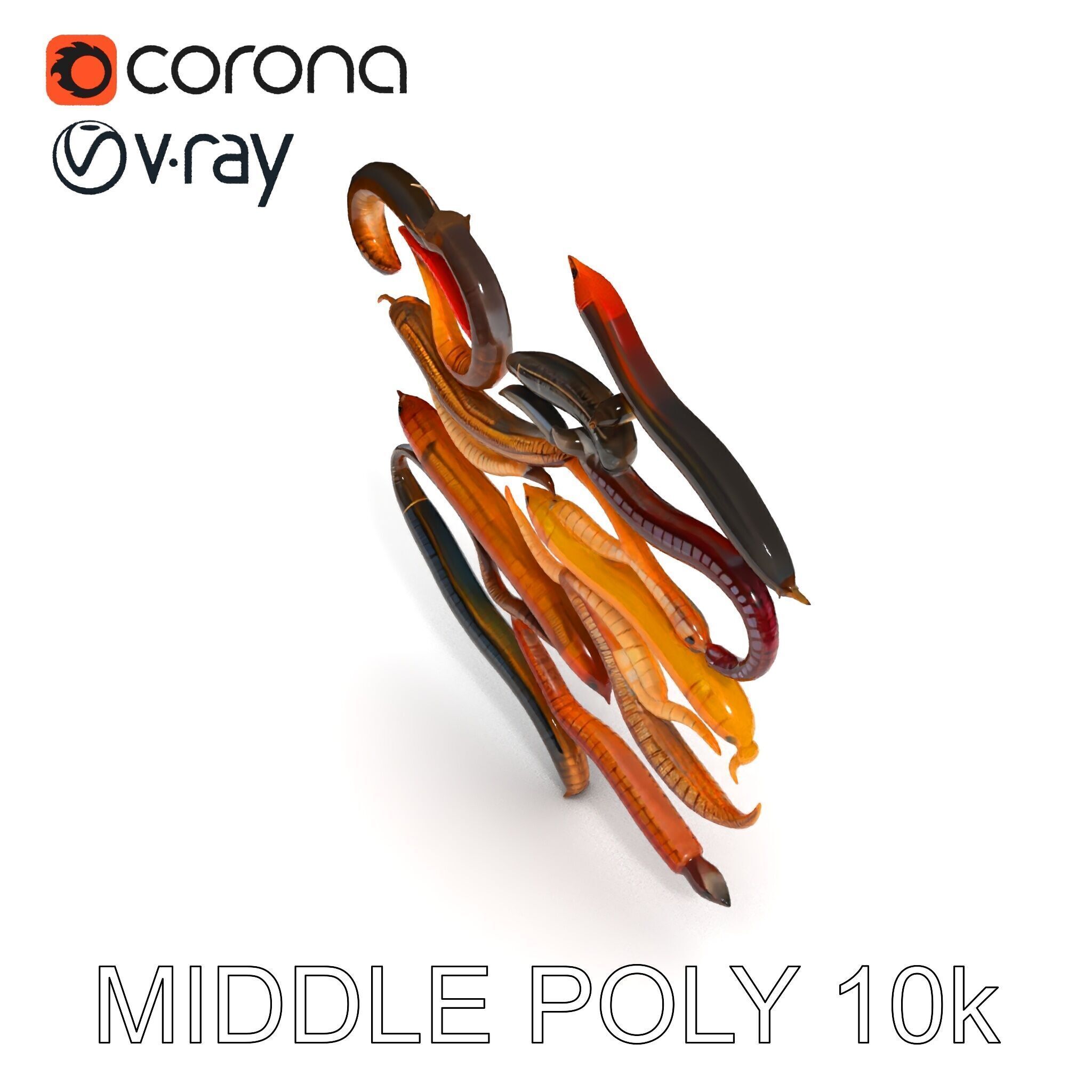 Realistic Earthworm Model Pack with HighDetail PBR Textures Low-poly 3D model_17