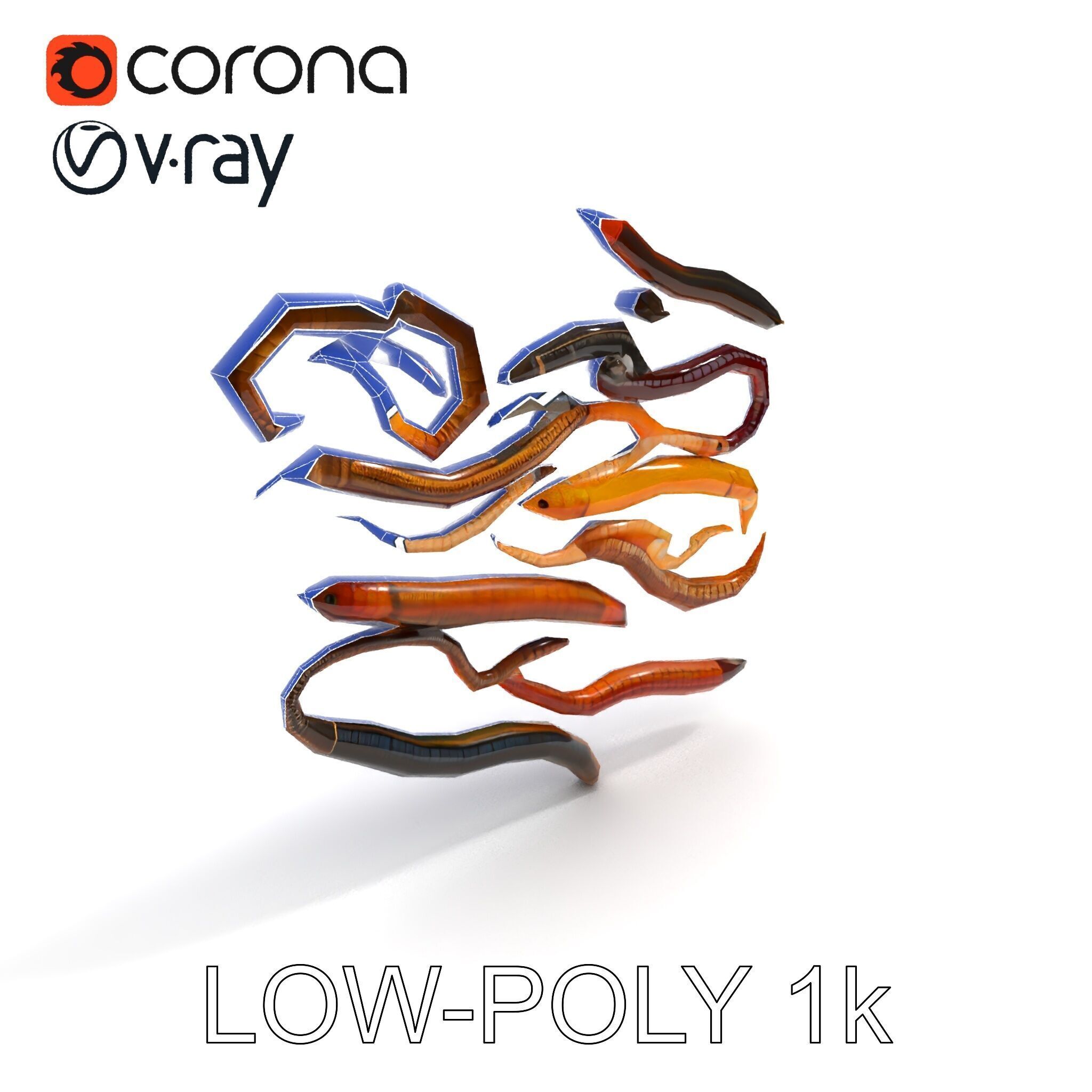 Realistic Earthworm Model Pack with HighDetail PBR Textures Low-poly 3D model_18