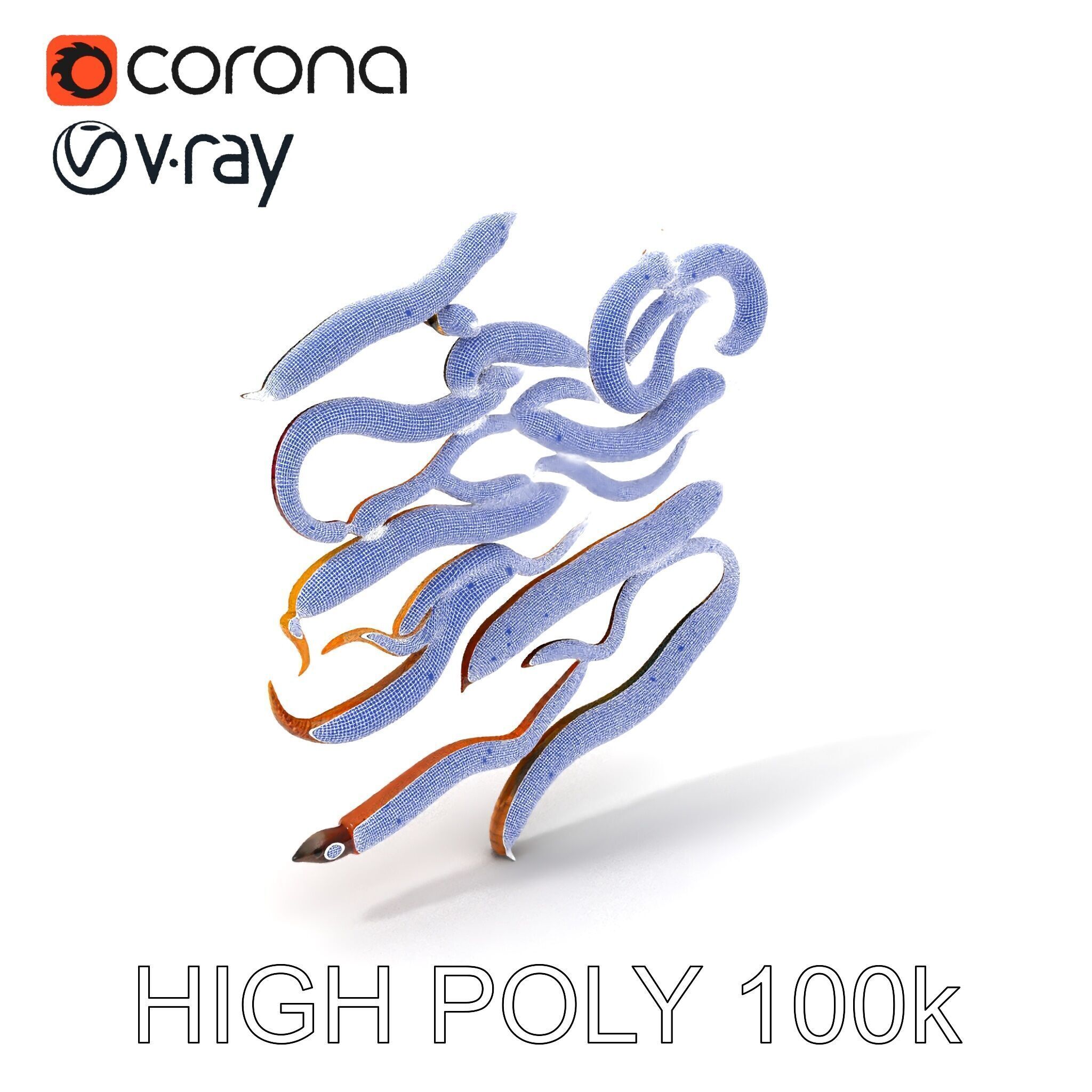 Realistic Earthworm Model Pack with HighDetail PBR Textures Low-poly 3D model_4