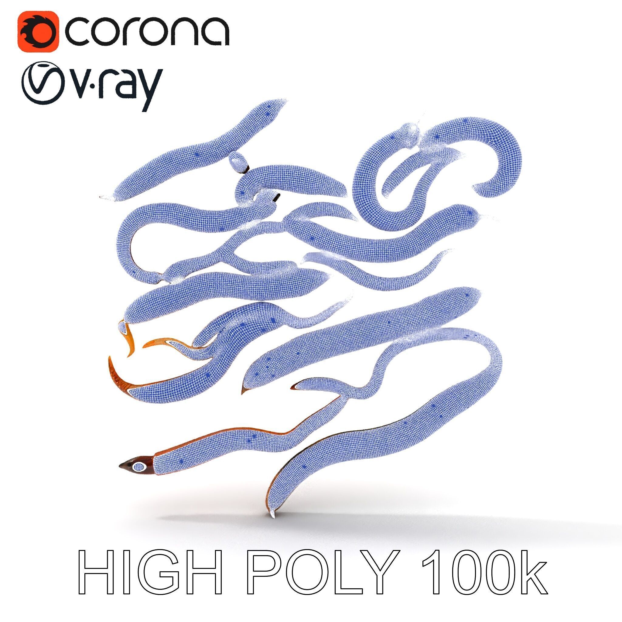 Realistic Earthworm Model Pack with HighDetail PBR Textures Low-poly 3D model_10