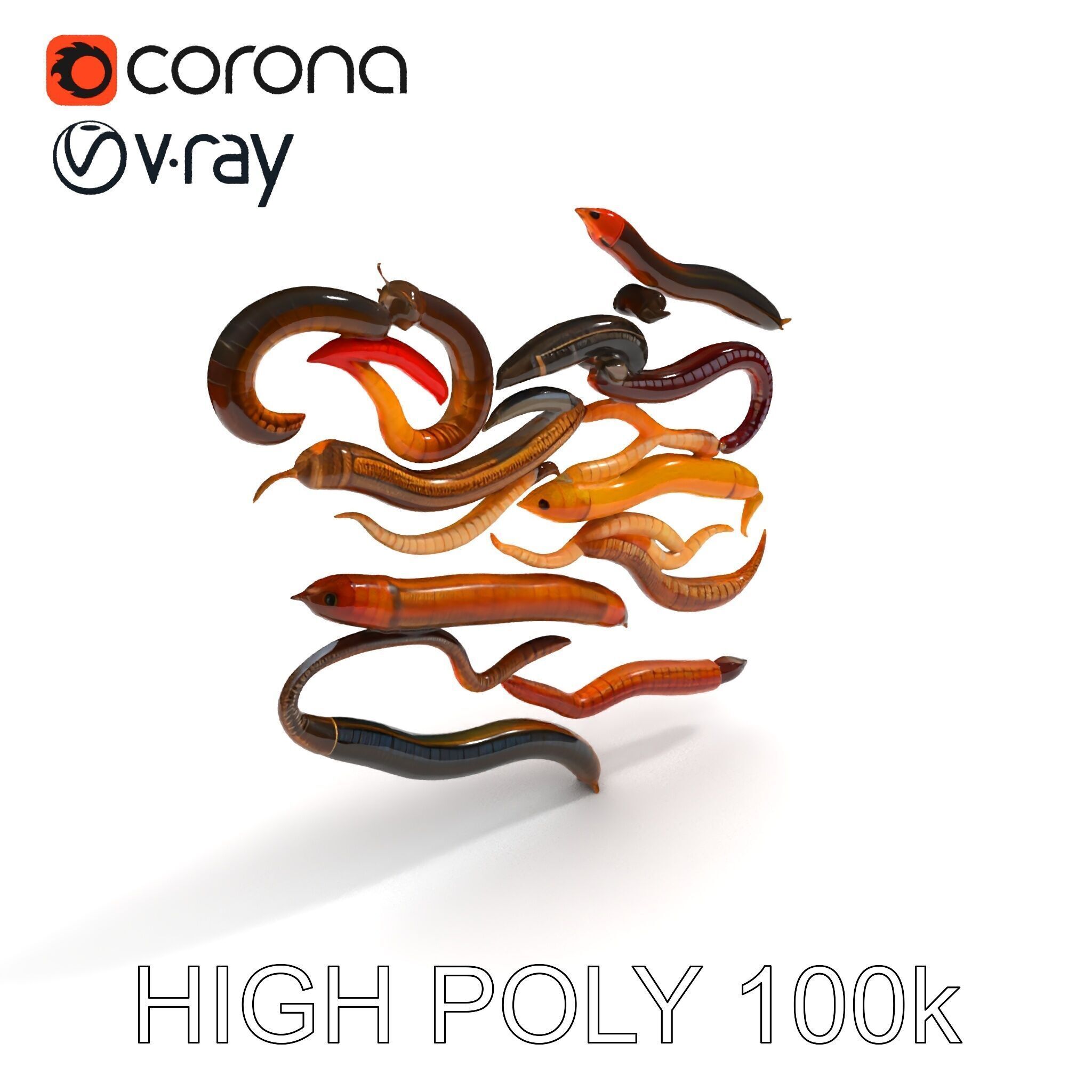 Realistic Earthworm Model Pack with HighDetail PBR Textures Low-poly 3D model_26