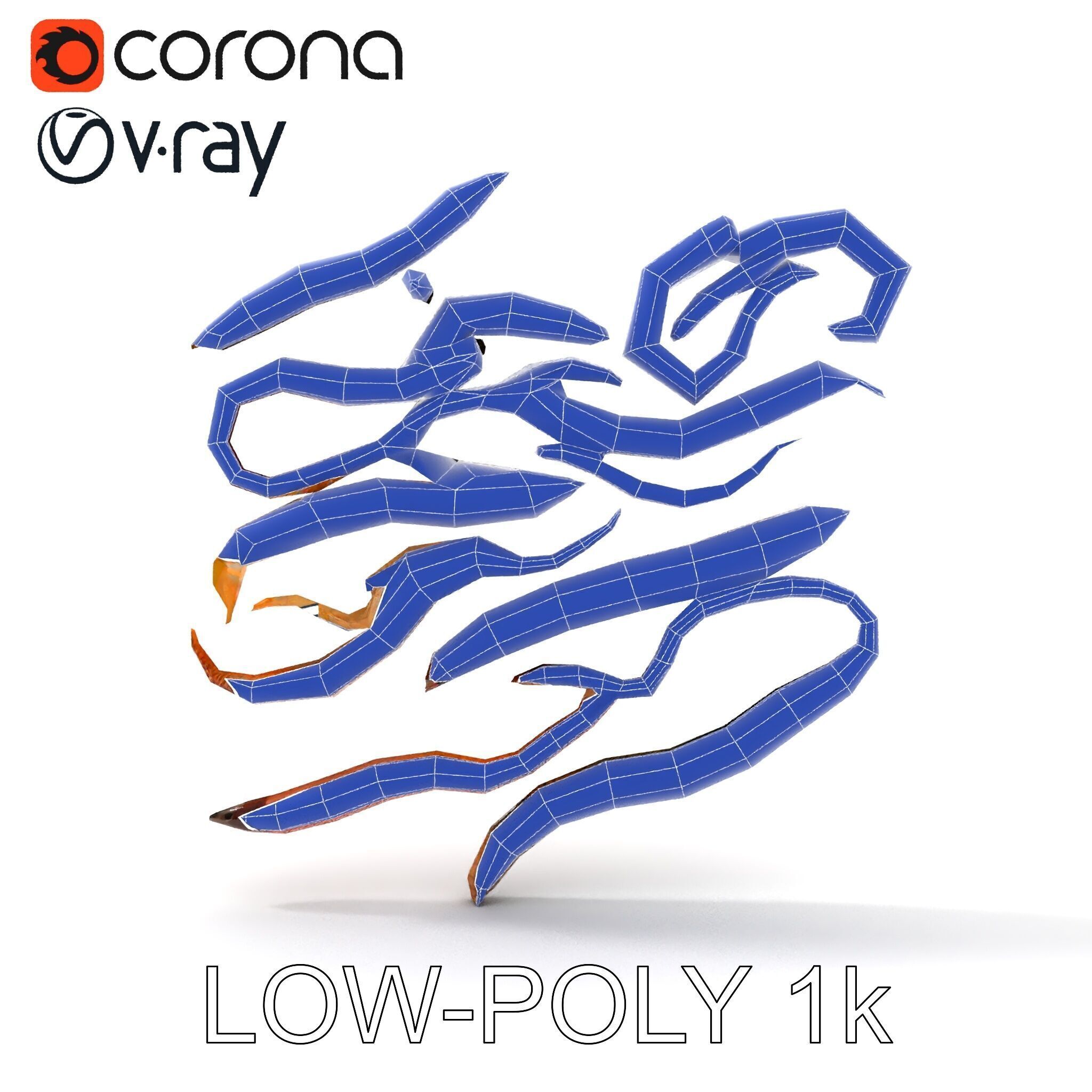 Realistic Earthworm Model Pack with HighDetail PBR Textures Low-poly 3D model_12