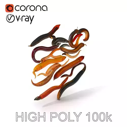 Realistic Earthworm Model Pack with HighDetail PBR Textures