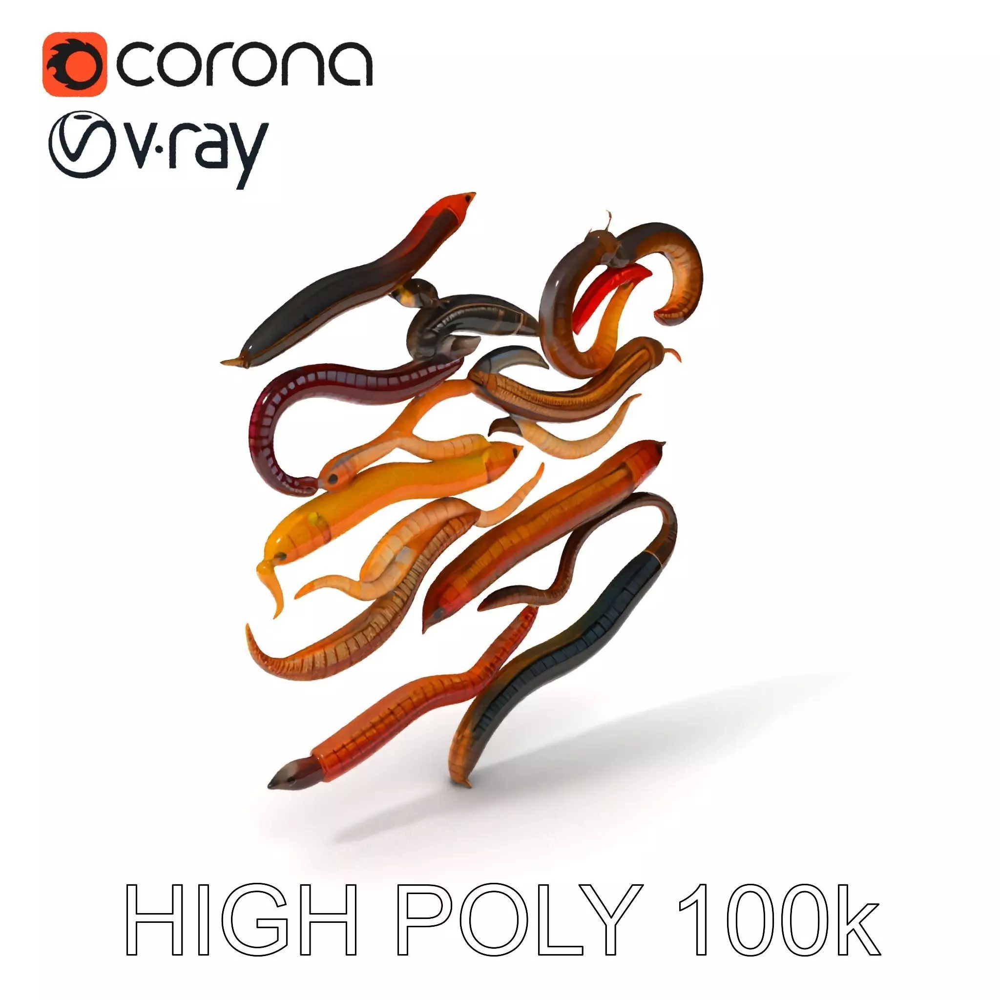 Realistic Earthworm Model Pack with HighDetail PBR Textures Low-poly 3D model_0