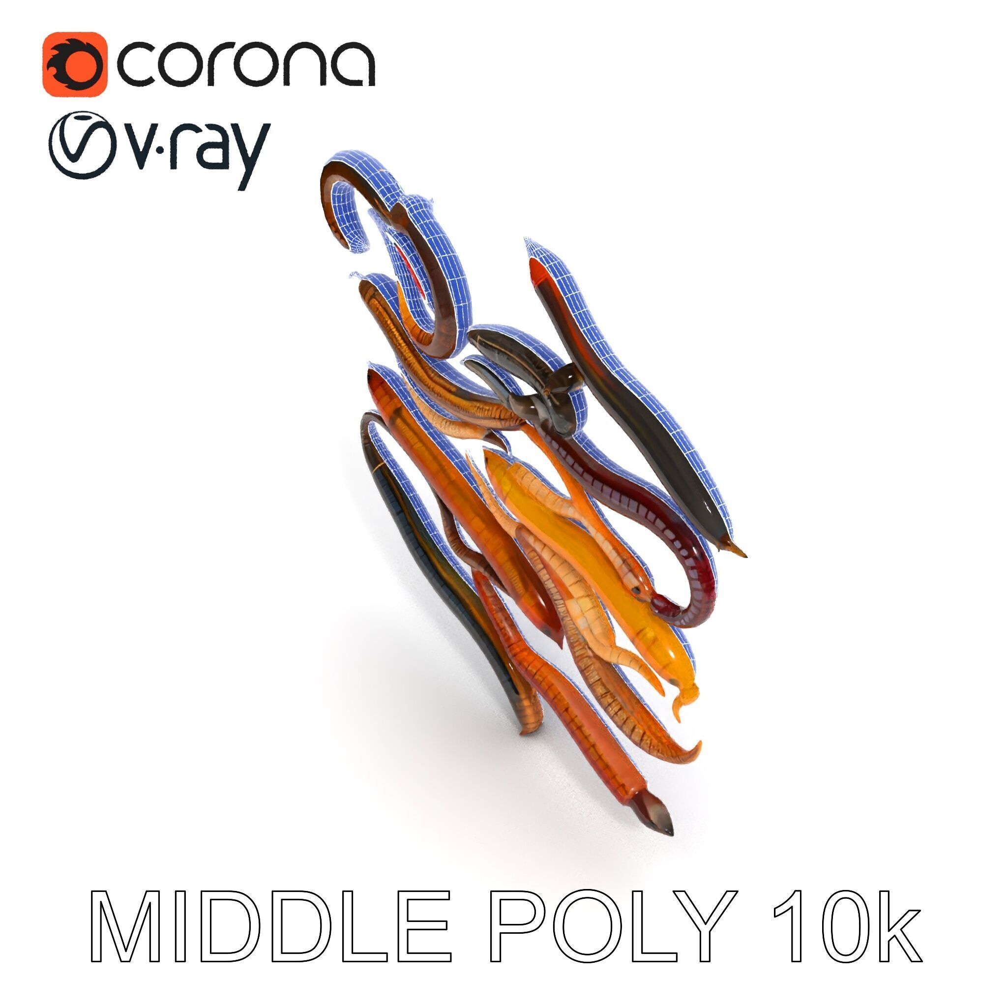 Realistic Earthworm Model Pack with HighDetail PBR Textures Low-poly 3D model_22