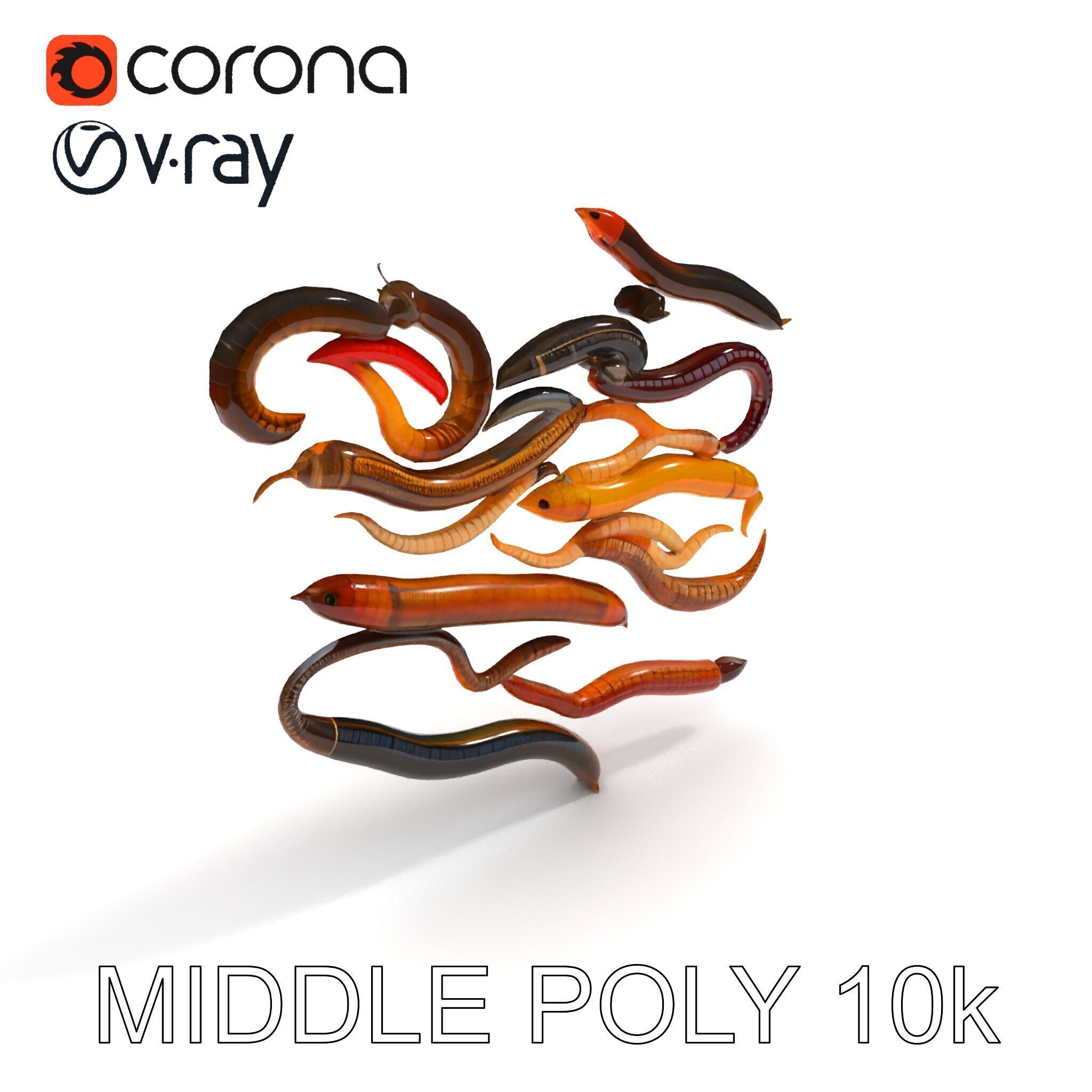 Realistic Earthworm Model Pack with HighDetail PBR Textures Low-poly 3D model_32