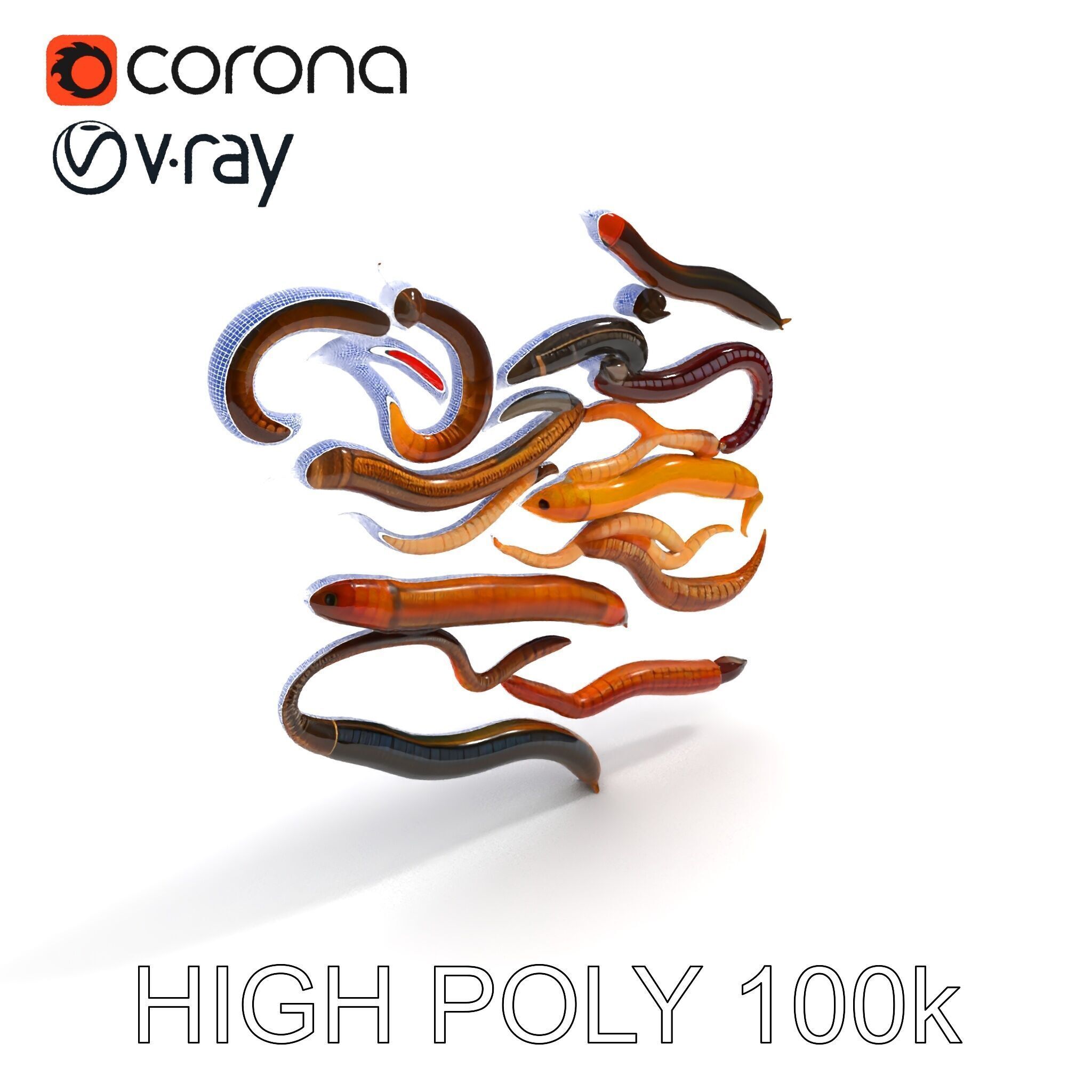 Realistic Earthworm Model Pack with HighDetail PBR Textures Low-poly 3D model_13