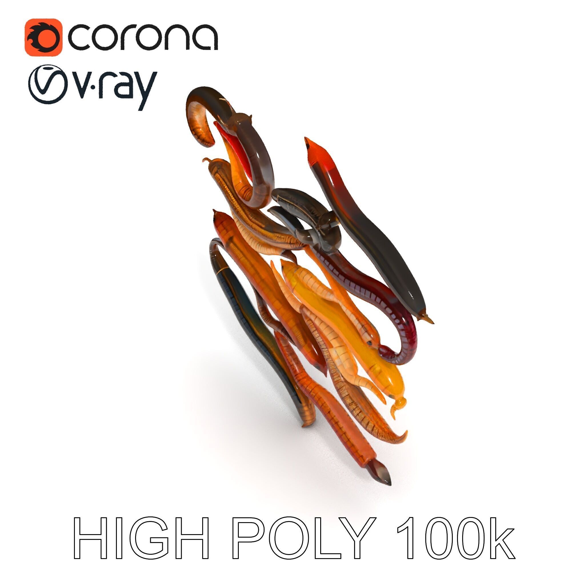 Realistic Earthworm Model Pack with HighDetail PBR Textures Low-poly 3D model_35