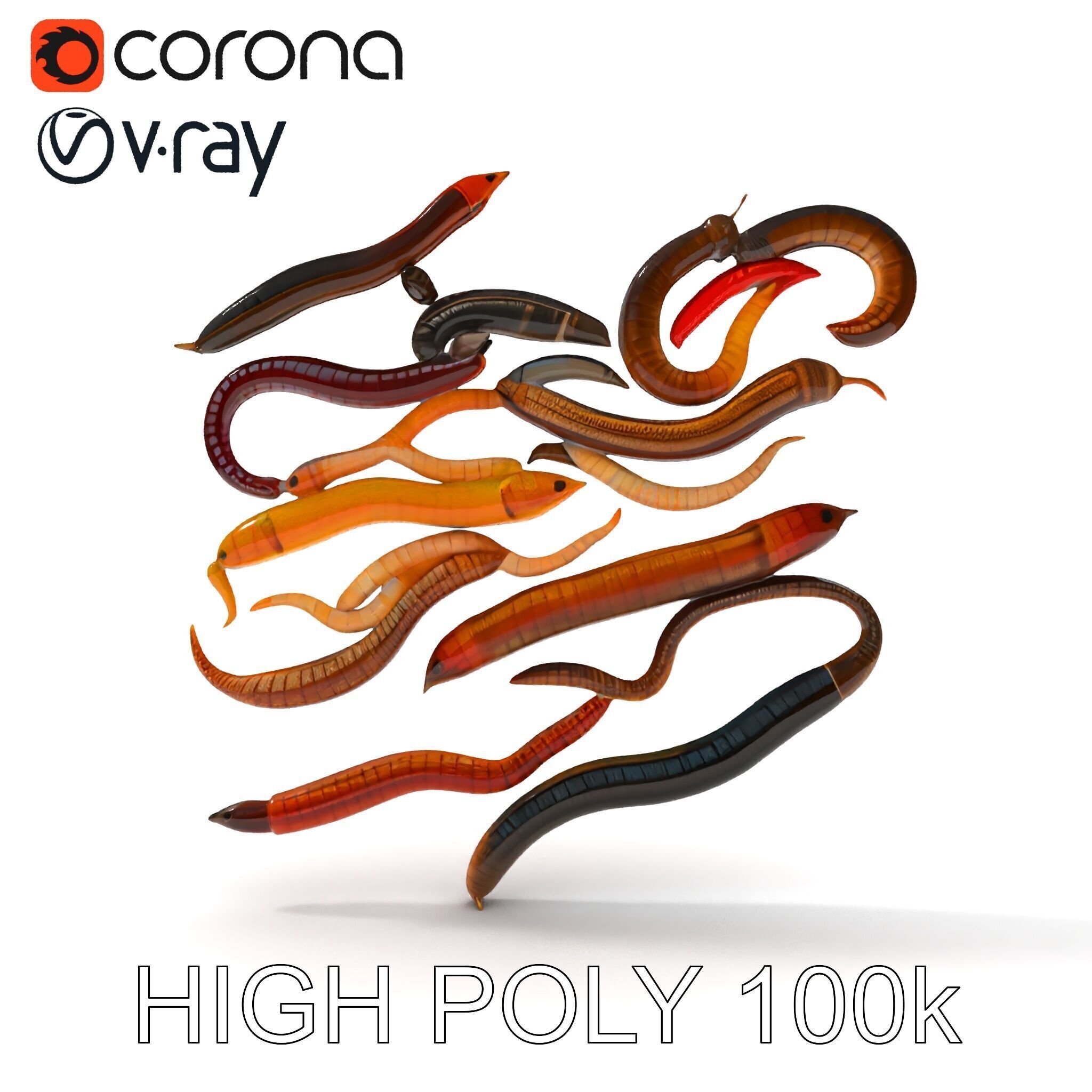 Realistic Earthworm Model Pack with HighDetail PBR Textures Low-poly 3D model_29