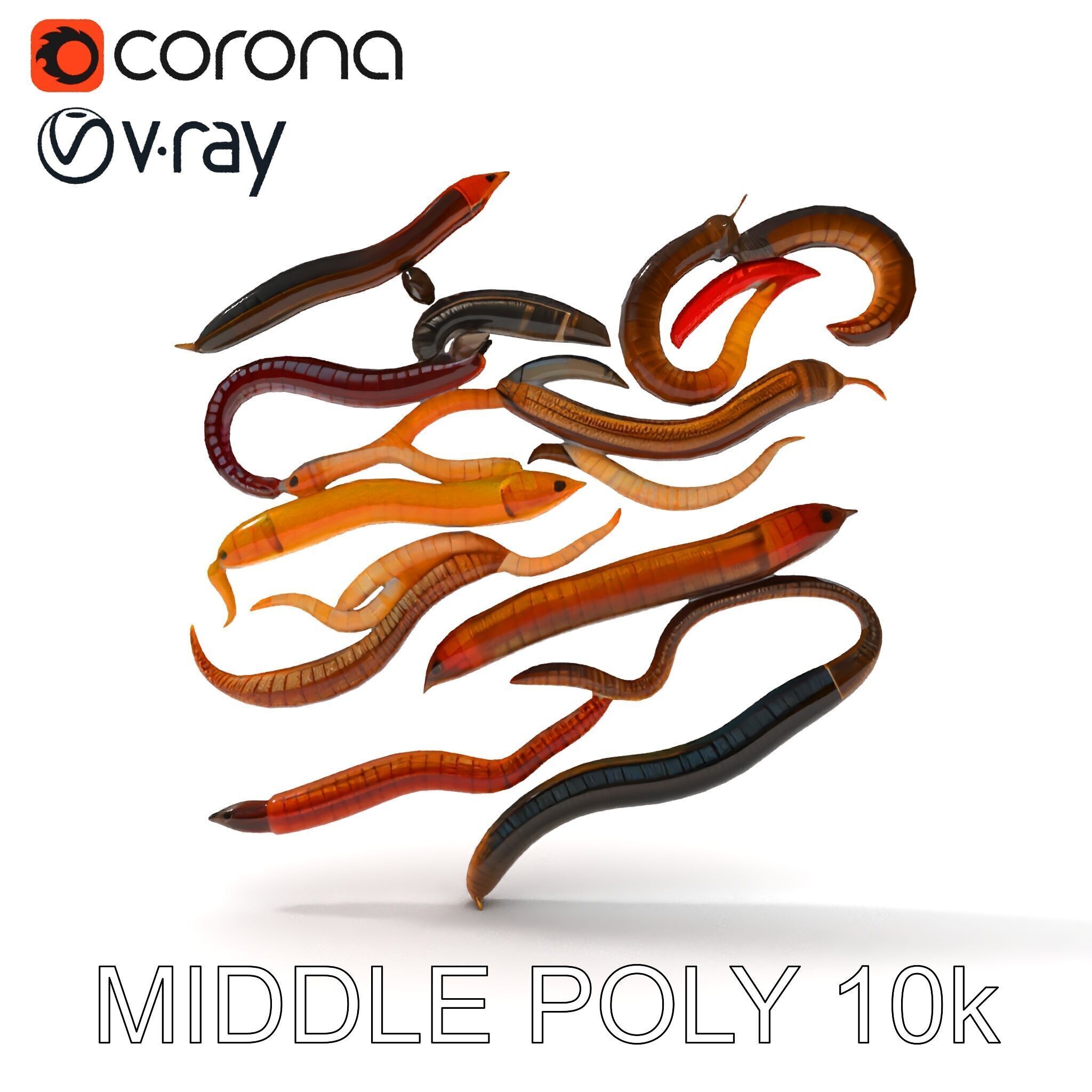 Realistic Earthworm Model Pack with HighDetail PBR Textures Low-poly 3D model_30