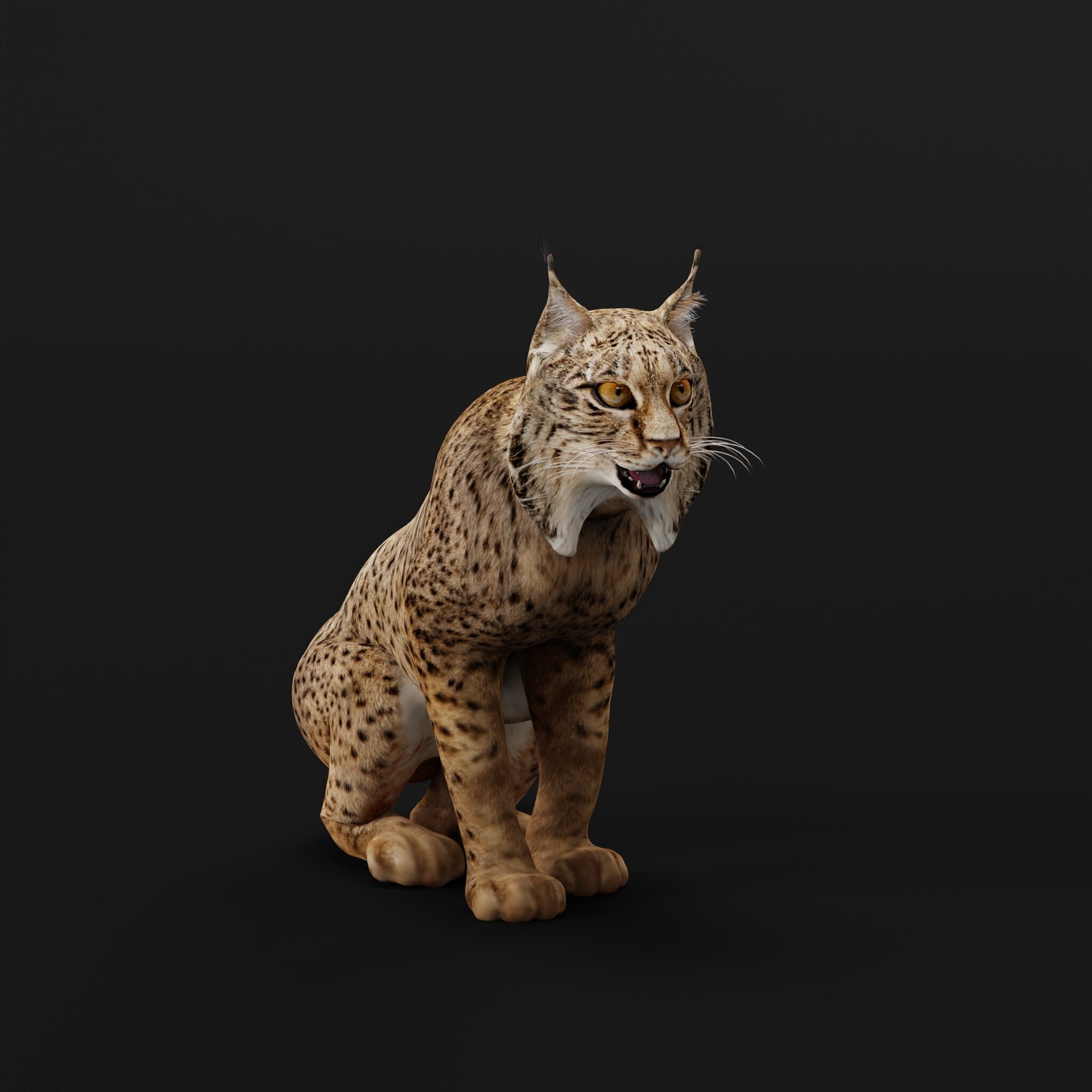 Iberian Lynx Low-poly 3D model_54