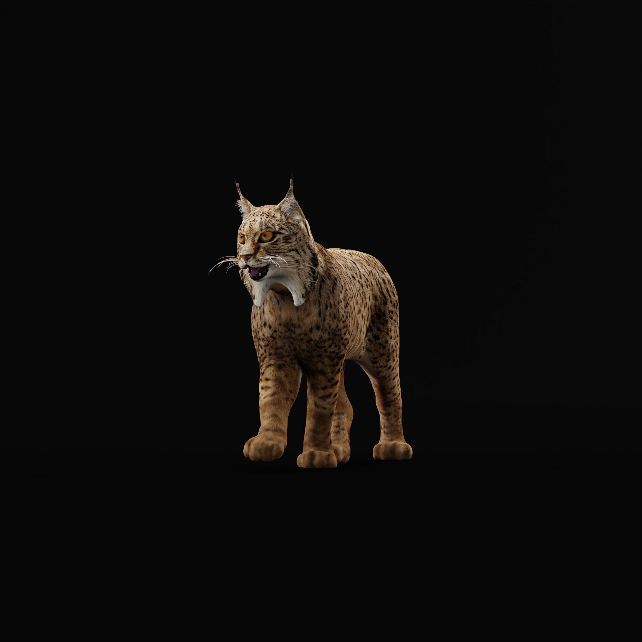 Iberian Lynx Low-poly 3D model_50