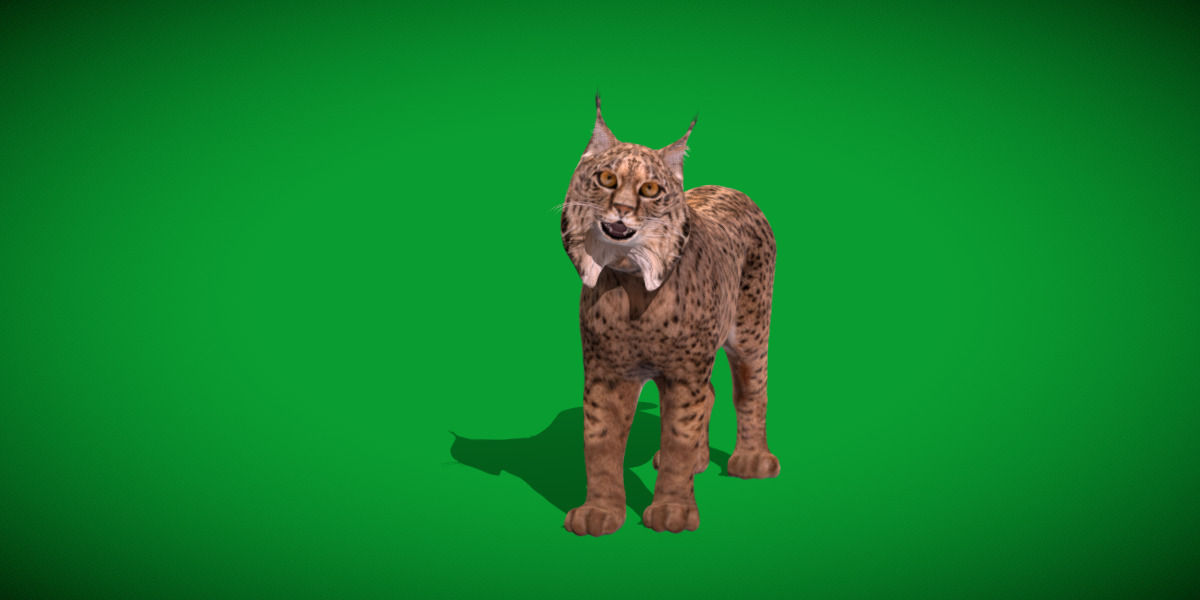 Iberian Lynx Low-poly 3D model_34