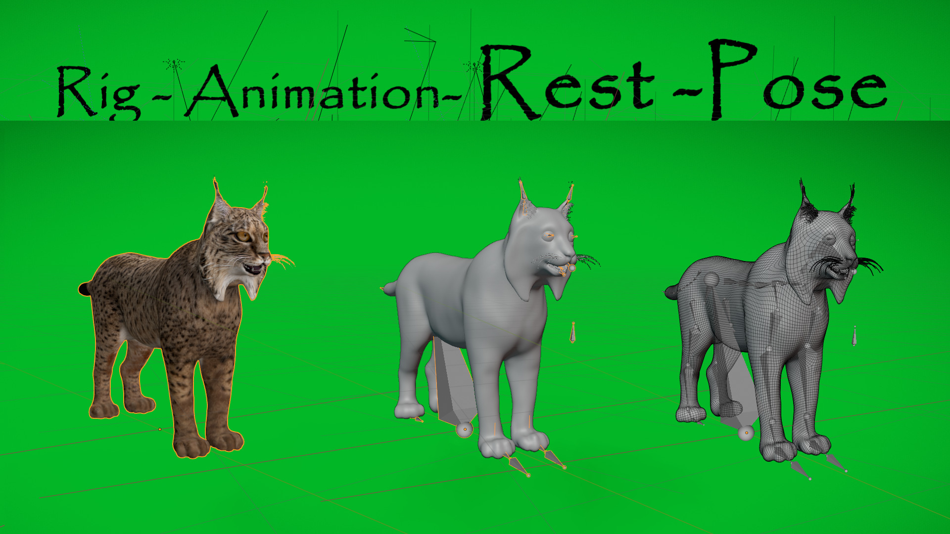 Iberian Lynx Low-poly 3D model_7