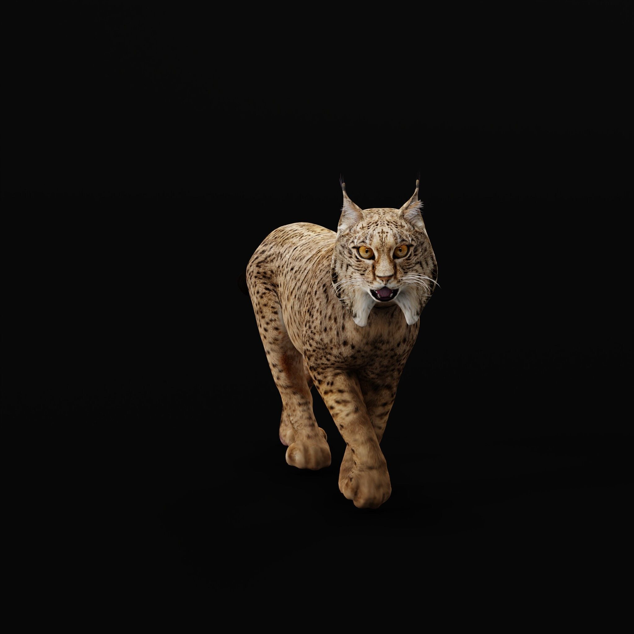 Iberian Lynx Low-poly 3D model_48