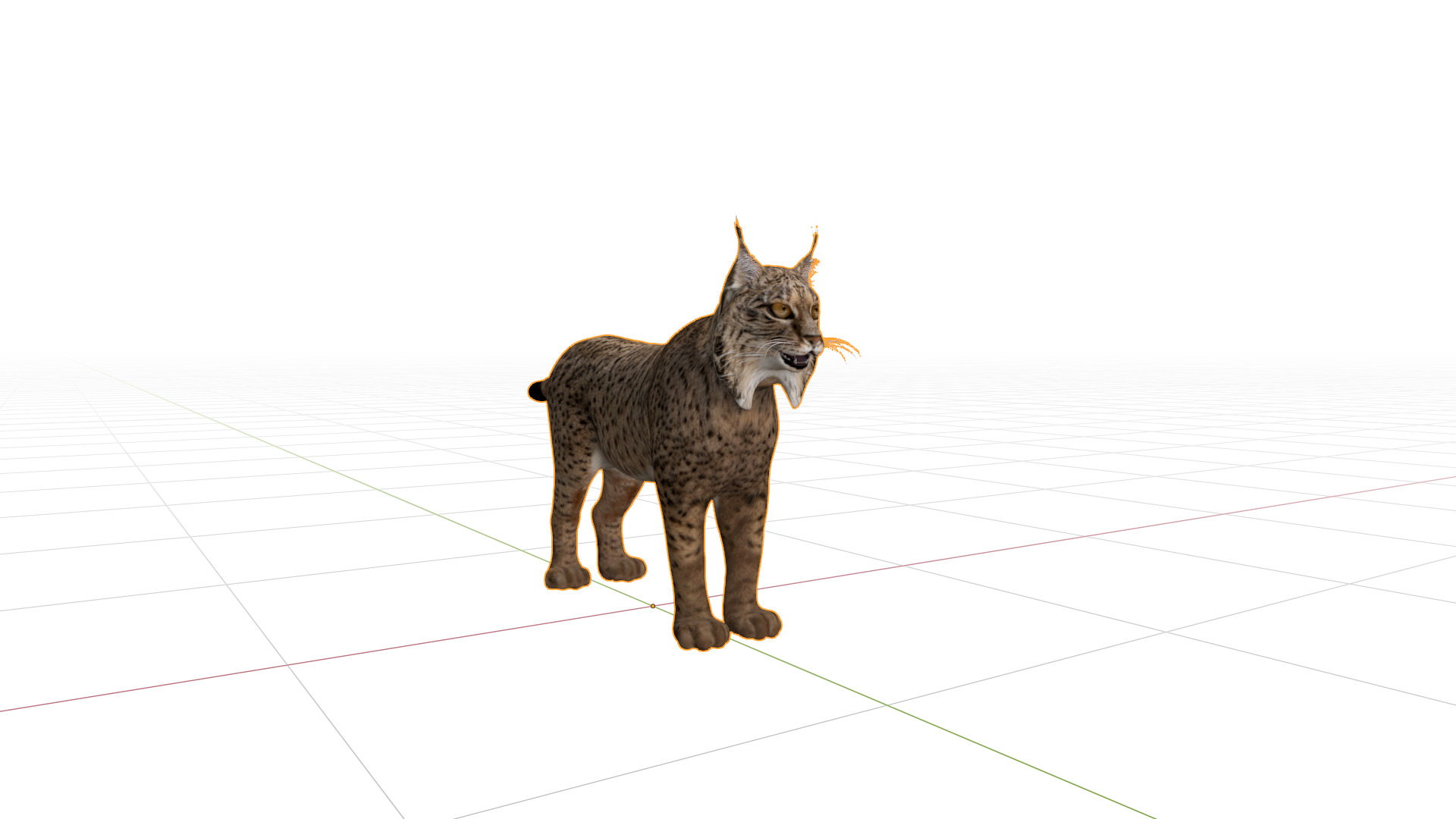 Iberian Lynx Low-poly 3D model_37