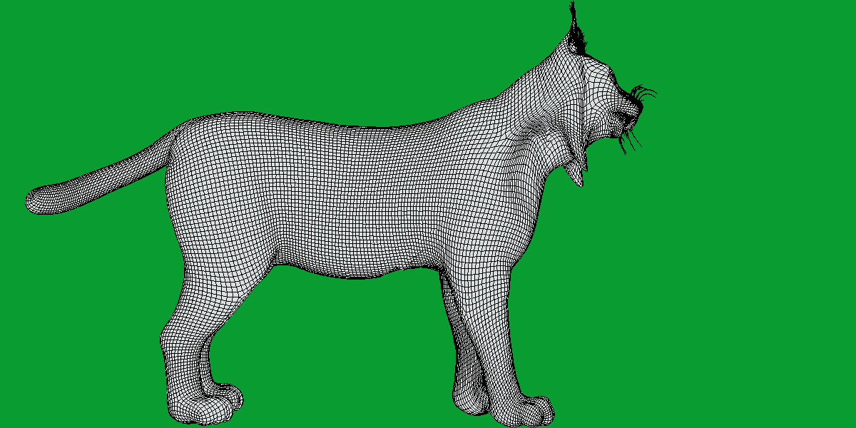 Iberian Lynx Low-poly 3D model_18