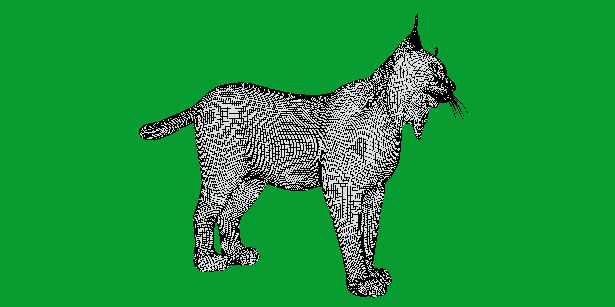 Iberian Lynx Low-poly 3D model_17