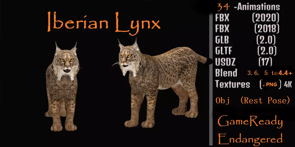 Iberian Lynx Low-poly 3D model_0