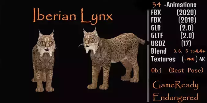 Iberian Lynx Low-poly 3D model