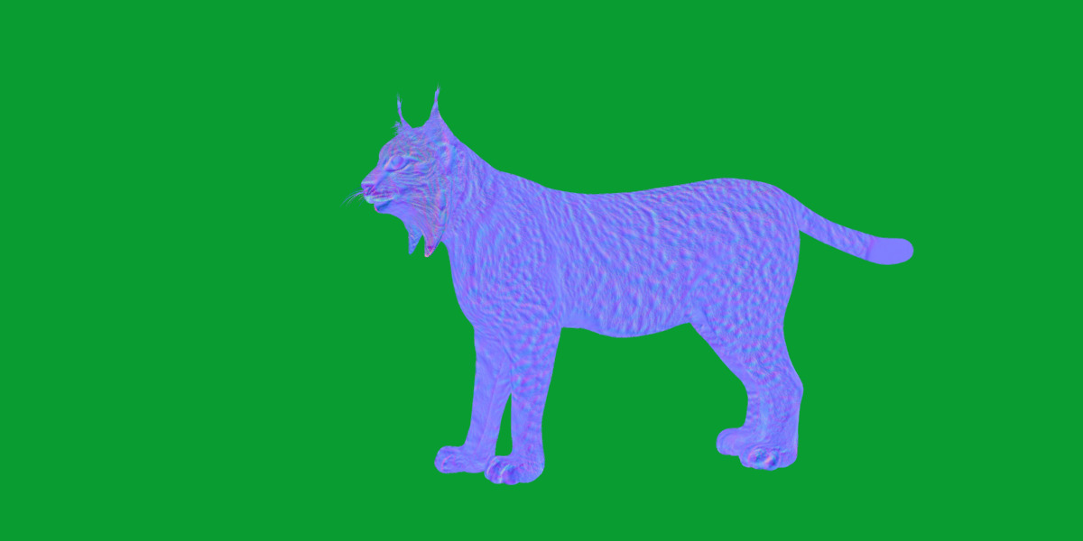 Iberian Lynx Low-poly 3D model_11