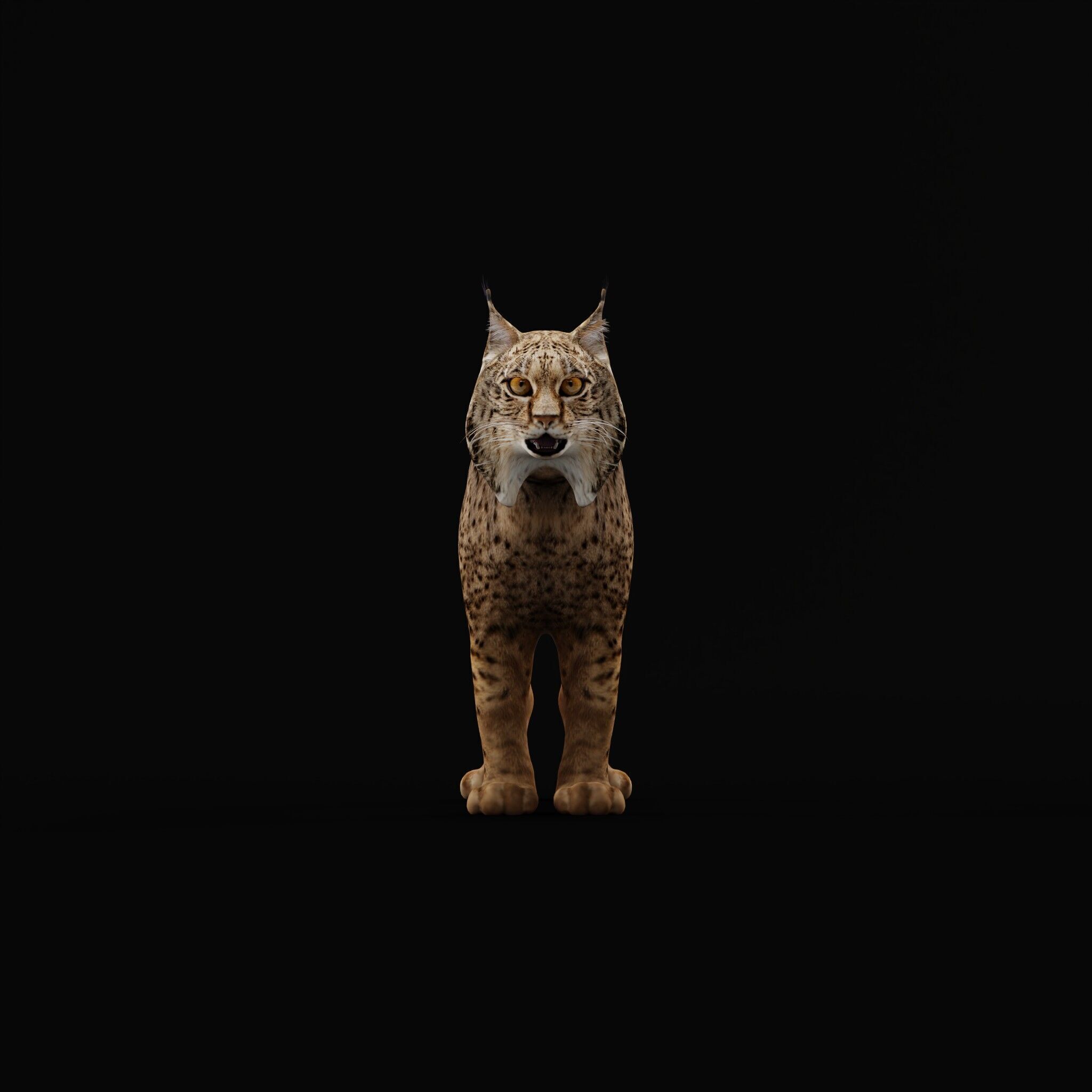 Iberian Lynx Low-poly 3D model_41