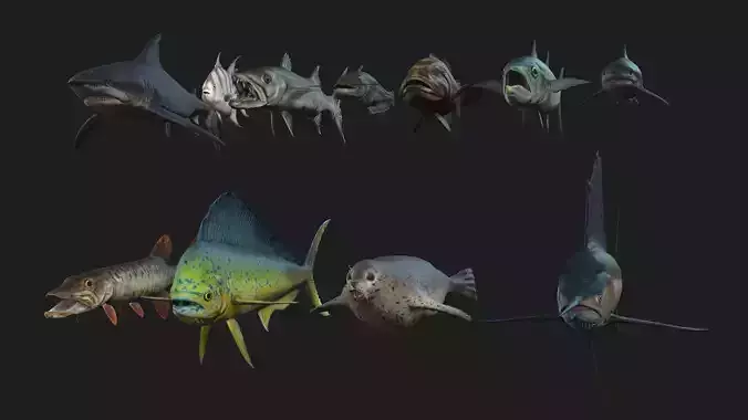 Rigged Low Poly Underwater Fish Collection 3D Models Low-poly 3D model
