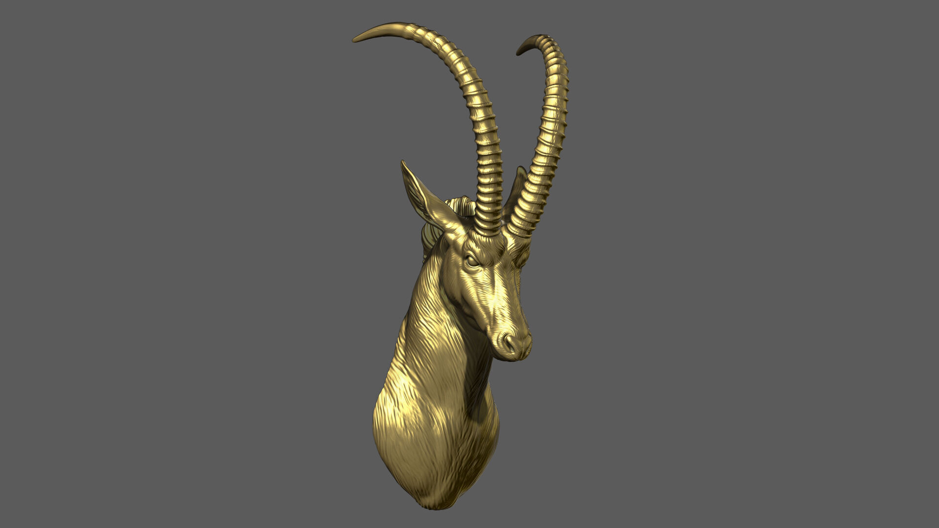 Sable Black Antelope Butting 3D print model_3