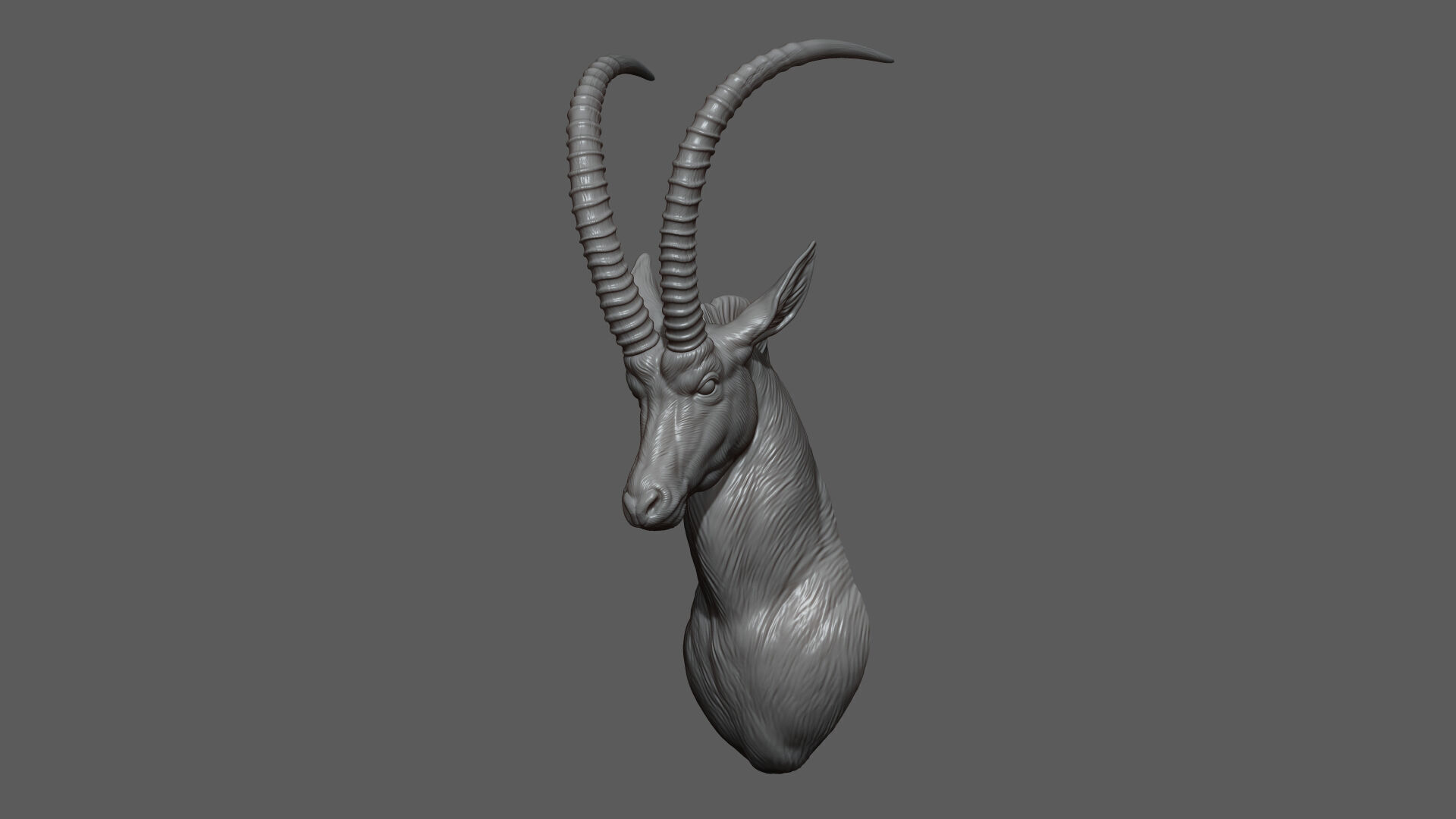 Sable Black Antelope Butting 3D print model_6