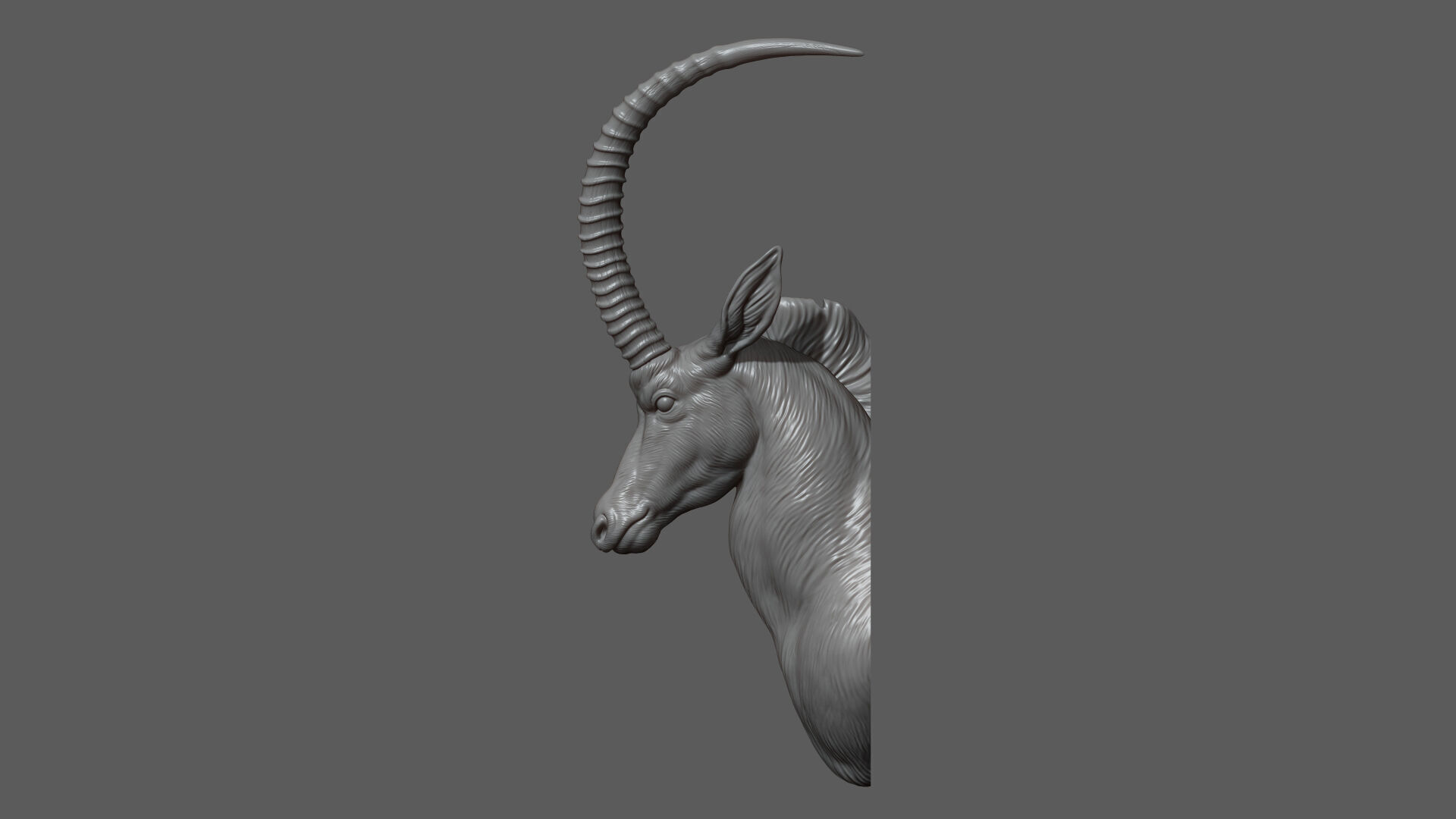Sable Black Antelope Butting 3D print model_8