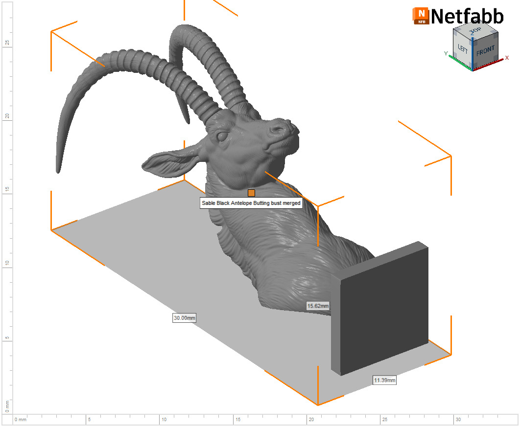 Sable Black Antelope Butting 3D print model_18