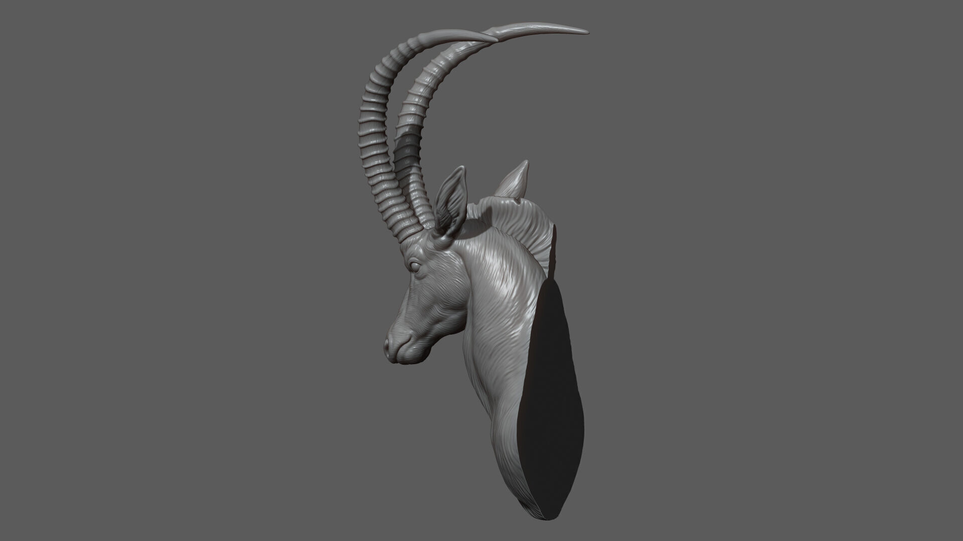 Sable Black Antelope Butting 3D print model_9