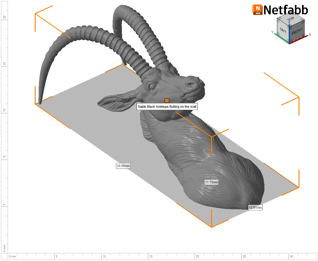 Sable Black Antelope Butting 3D print model_19