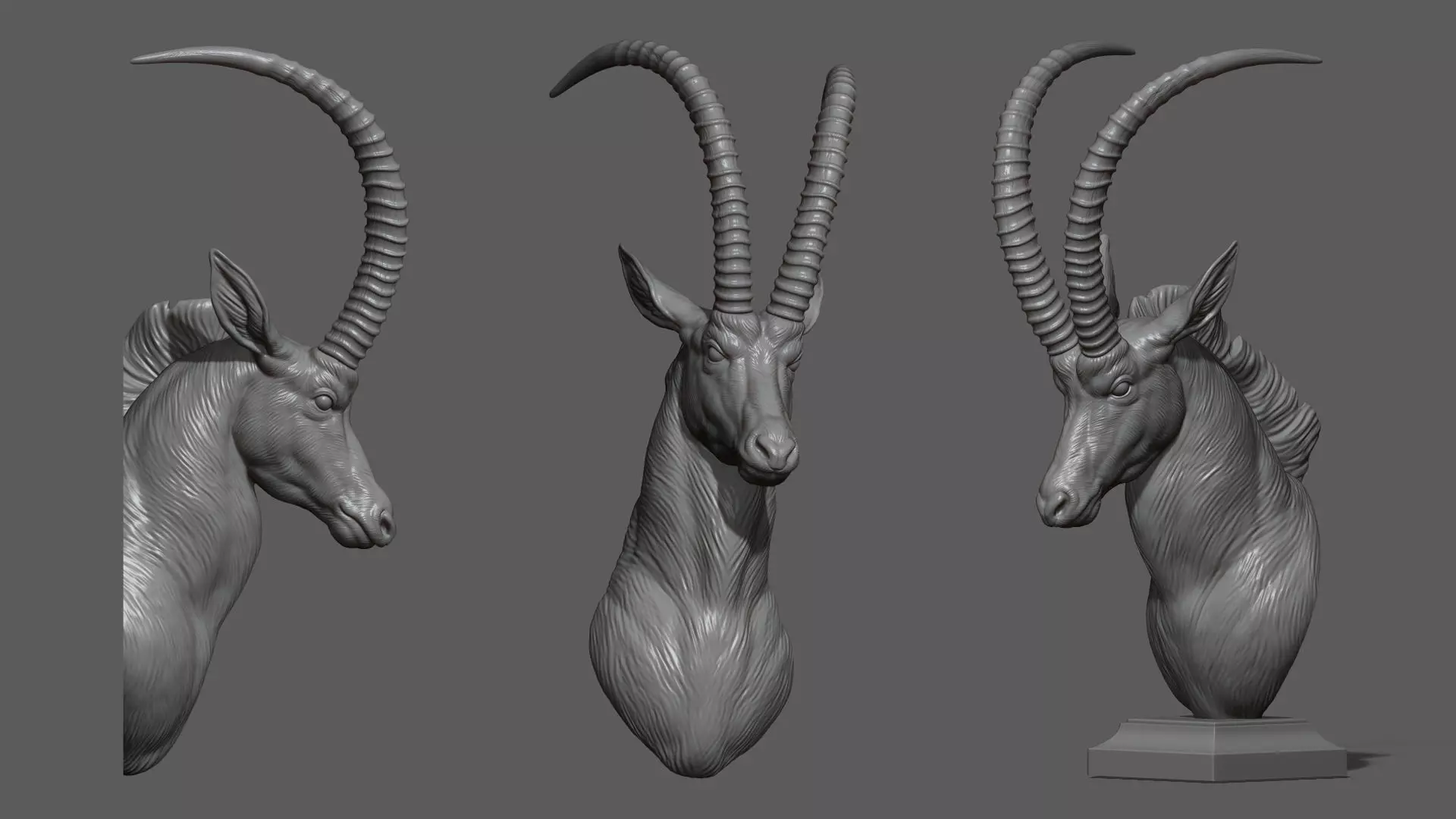 Sable Black Antelope Butting 3D print model_0