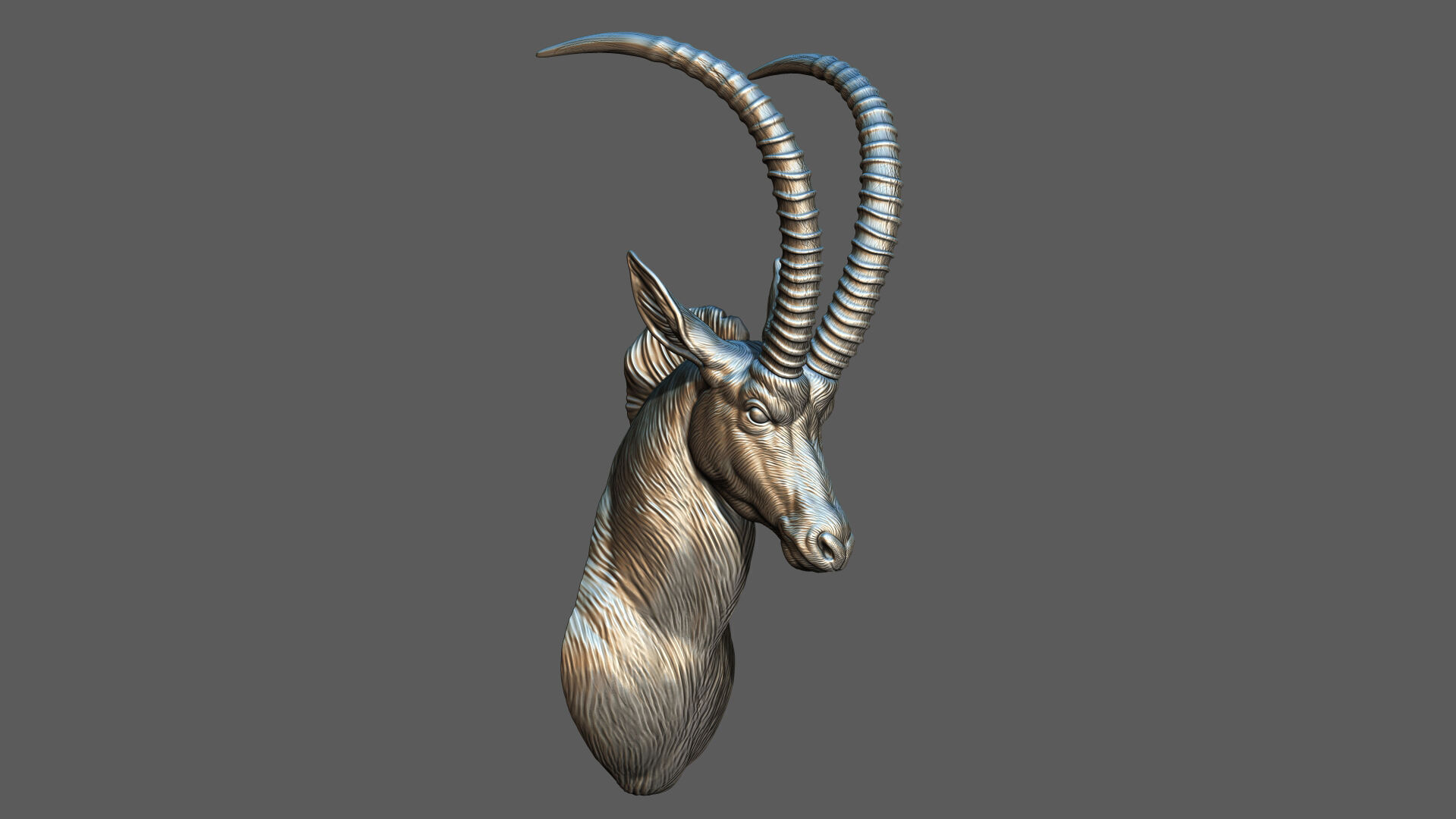 Sable Black Antelope Butting 3D print model_4