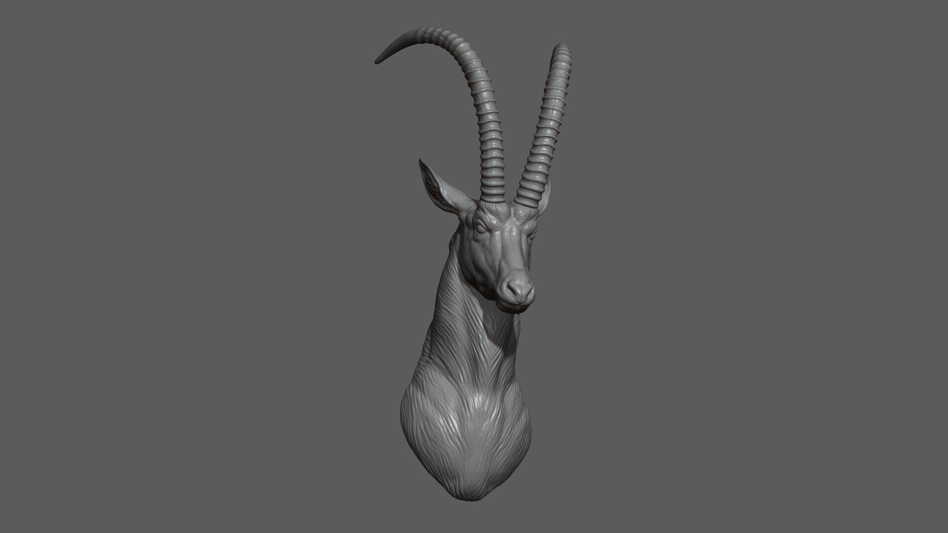Sable Black Antelope Butting 3D print model_5