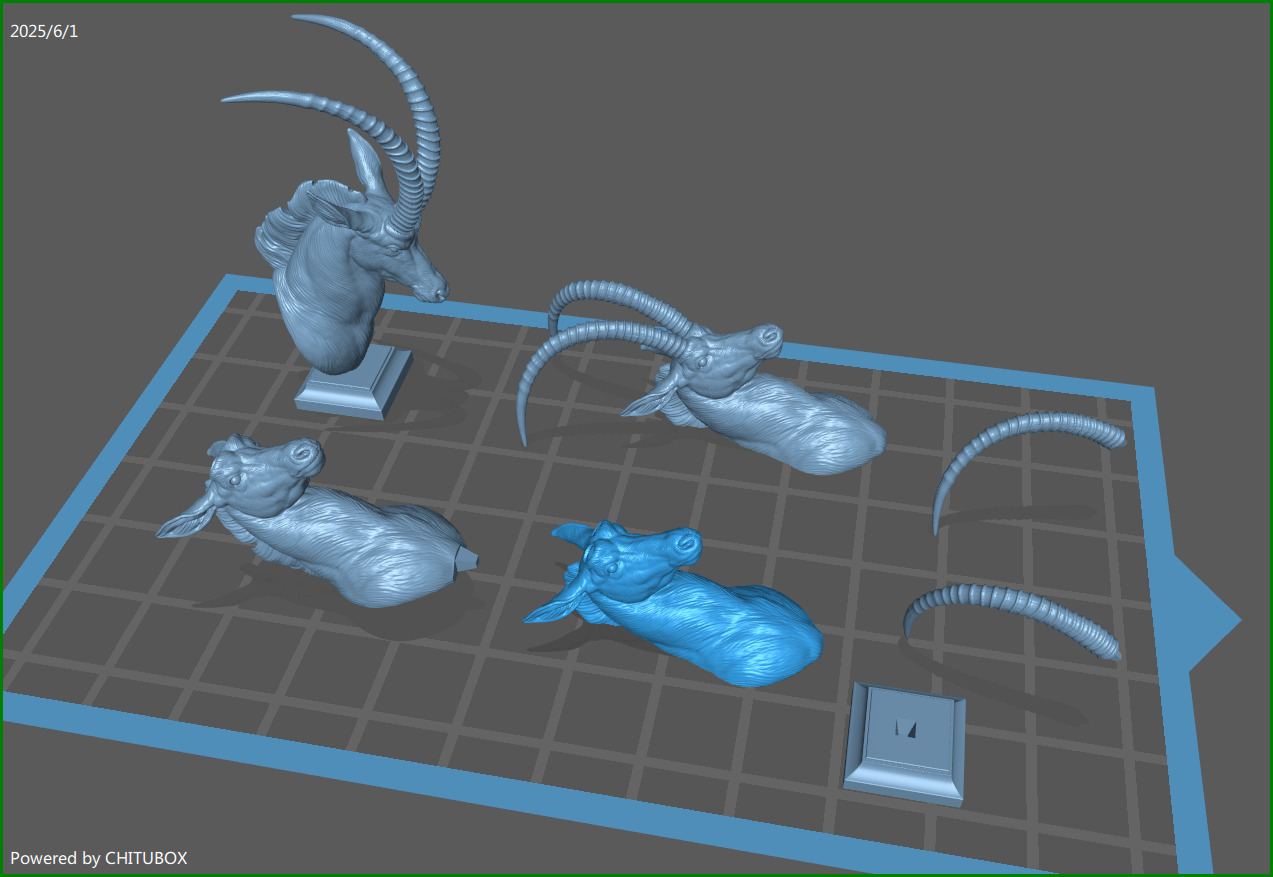 Sable Black Antelope Butting 3D print model_1