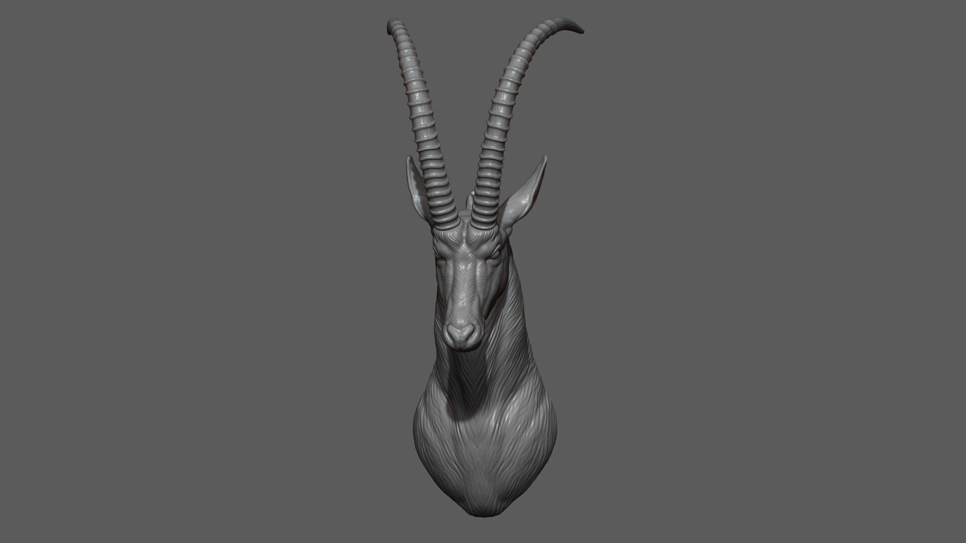 Sable Black Antelope Butting 3D print model_7