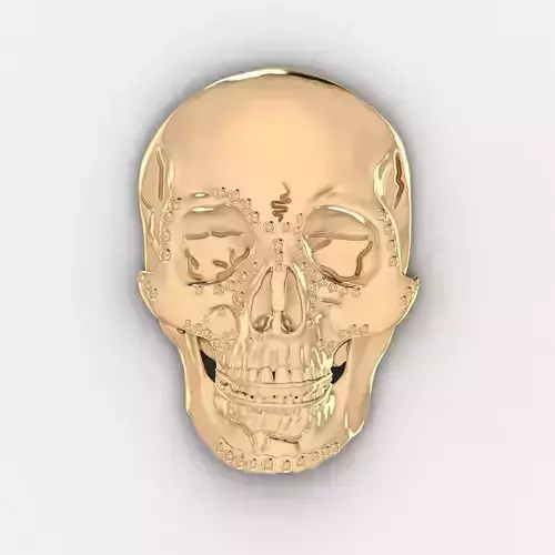 Skull 7